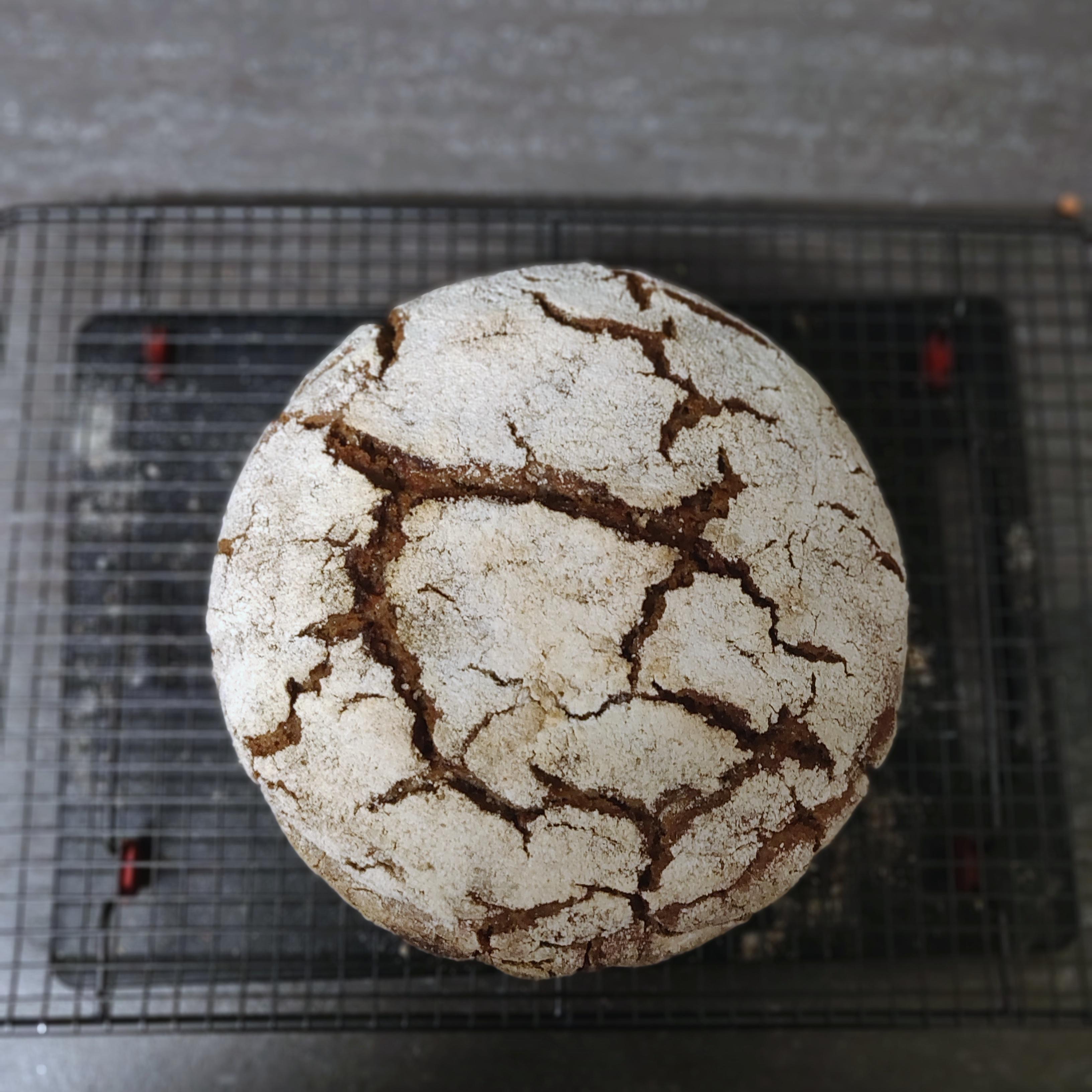 100 wholemeal rye sourdough 75 hydration r/Breadit