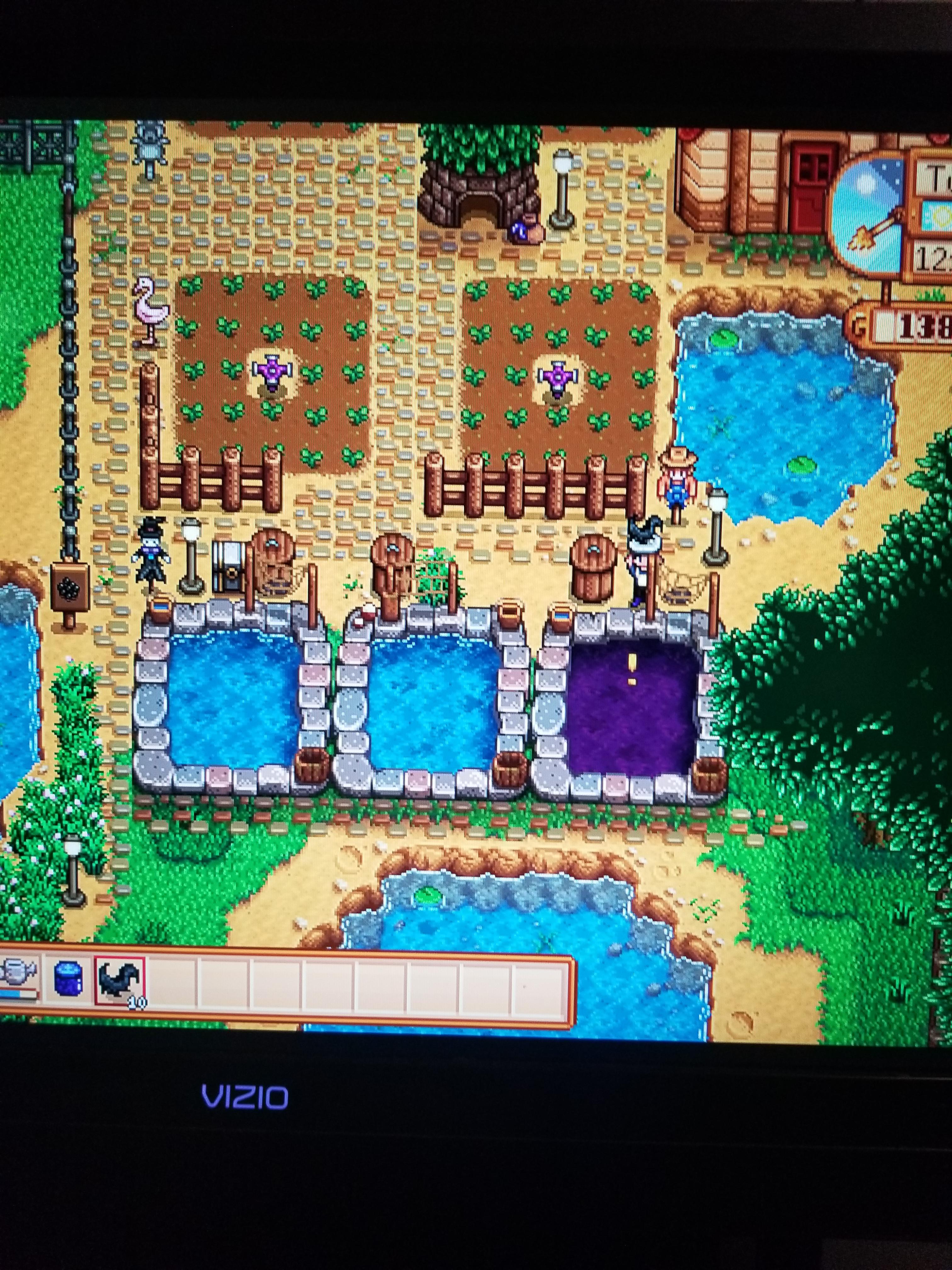 What are the best types of fish to have in ponds? I have void salmon