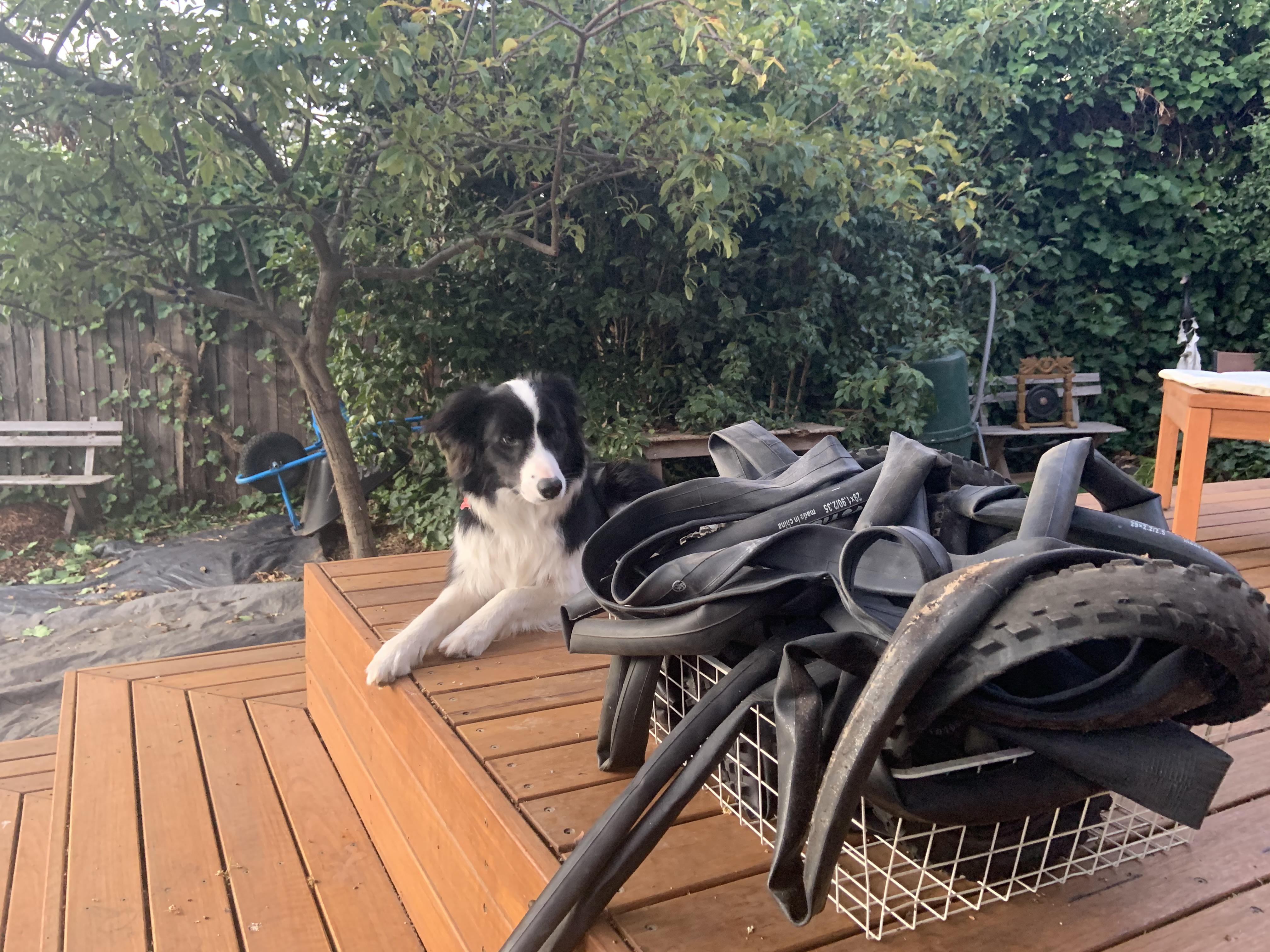 Best uses for old inner tubes?? r/MTB