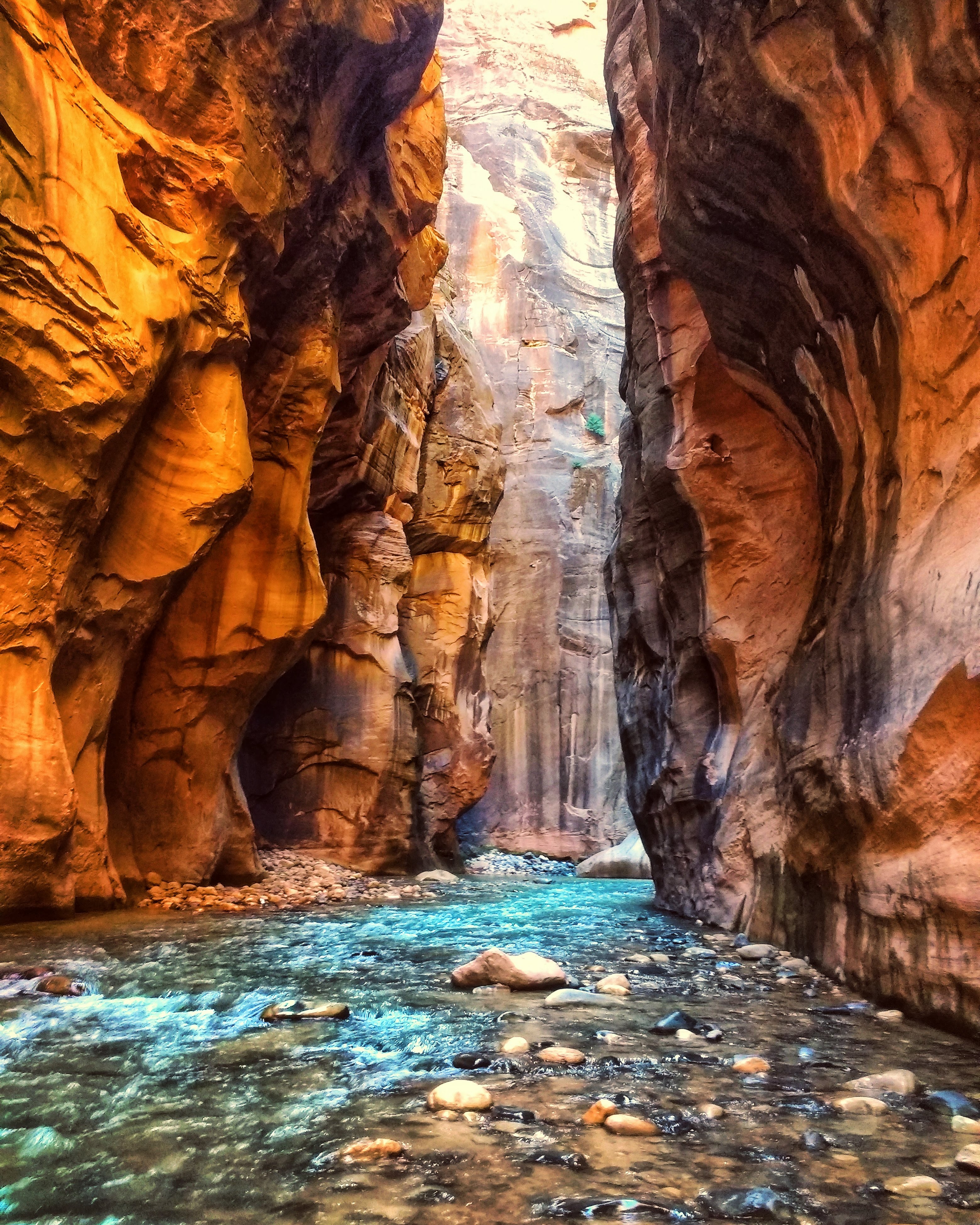 Narrows at Zion National Park x Golden hour r/hiking