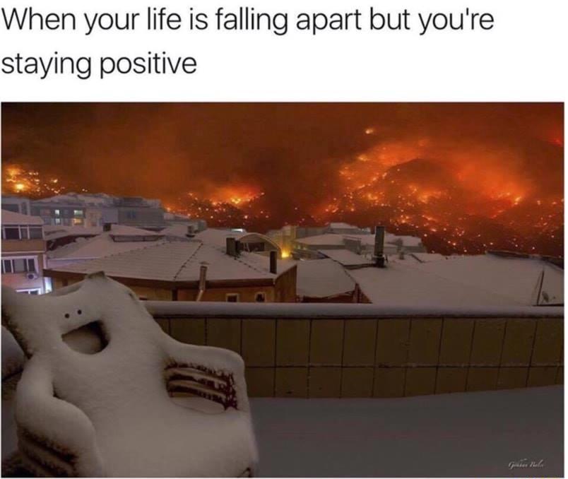 Im Fine Meme Funny bmpi