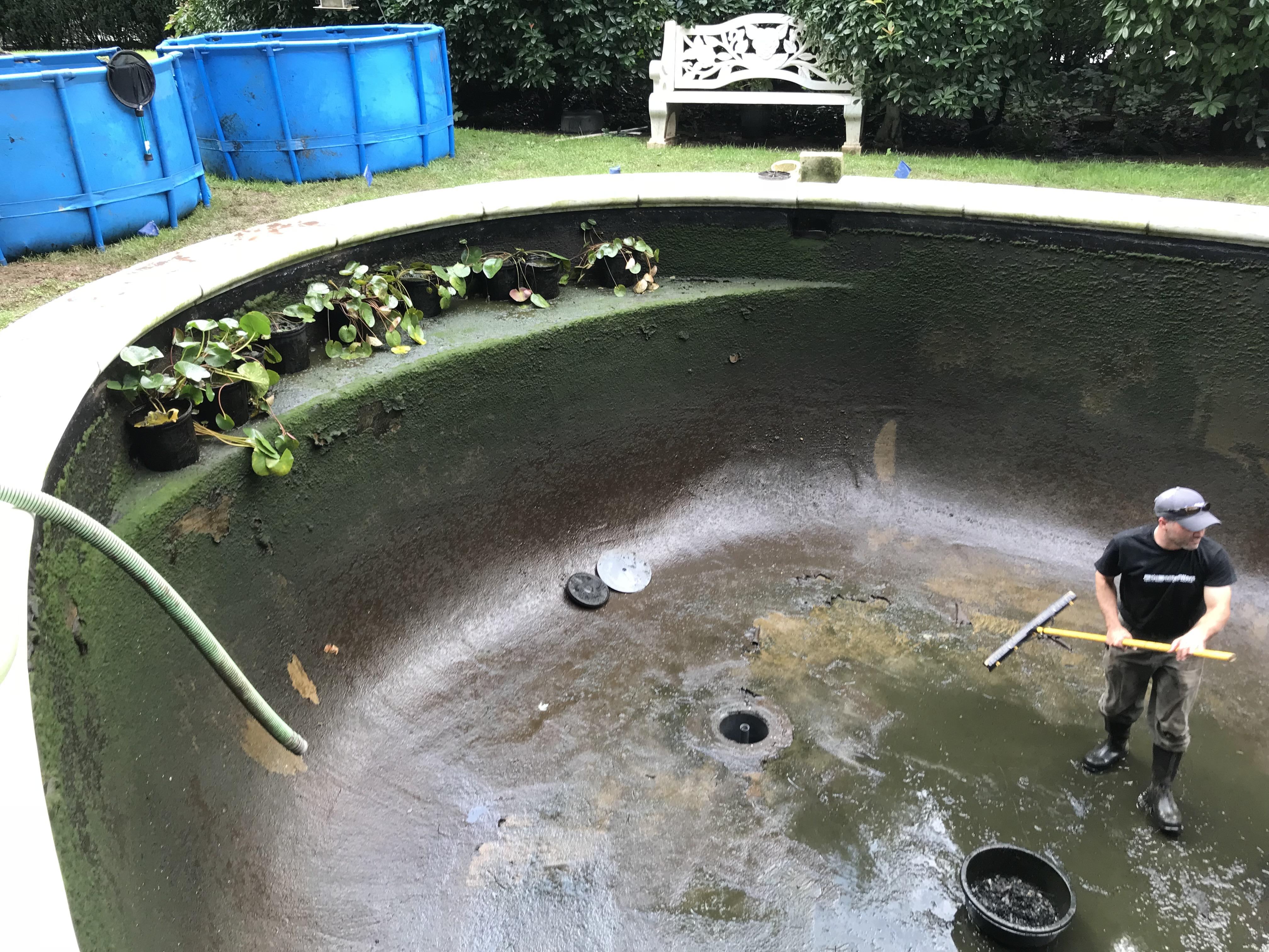 Just doing a drain & clean on a lil pond... r/ponds