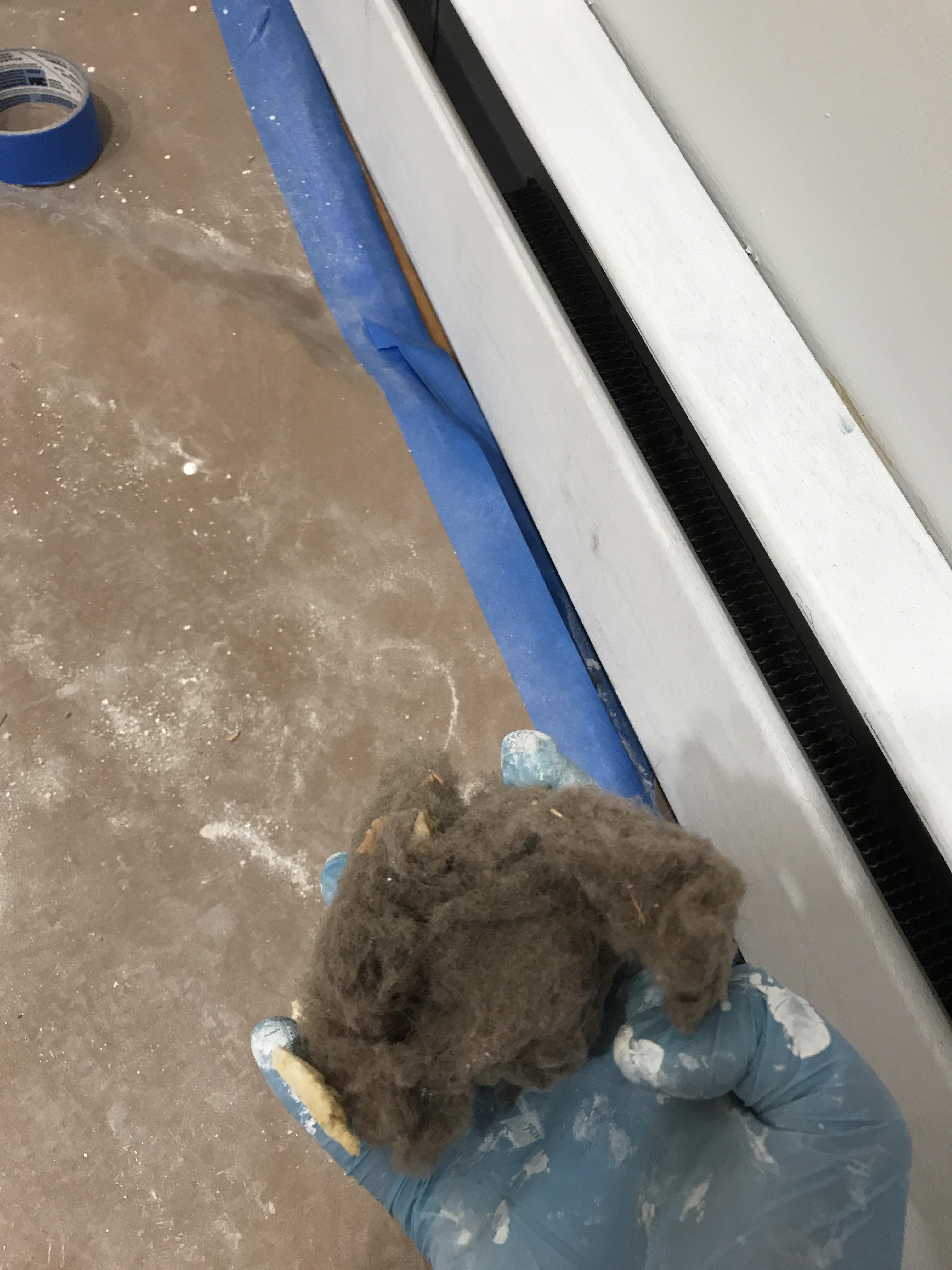 Be sure to clean your hot water baseboard vents. r/HVAC