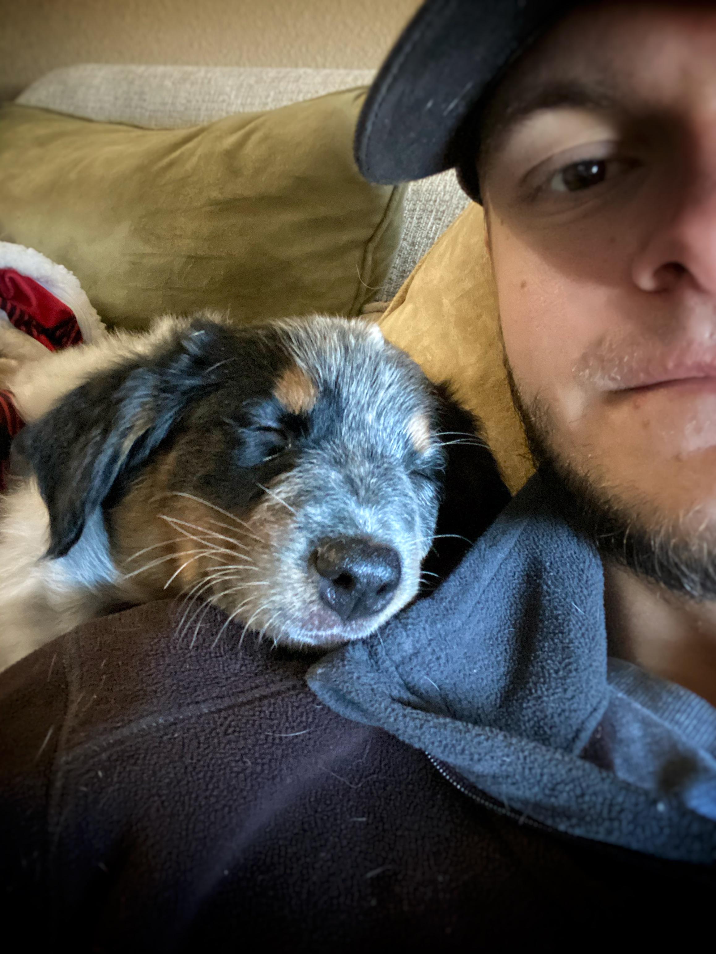 Reddit... meet Bailey, our Blue Heeler / Aussie mix! r/aww