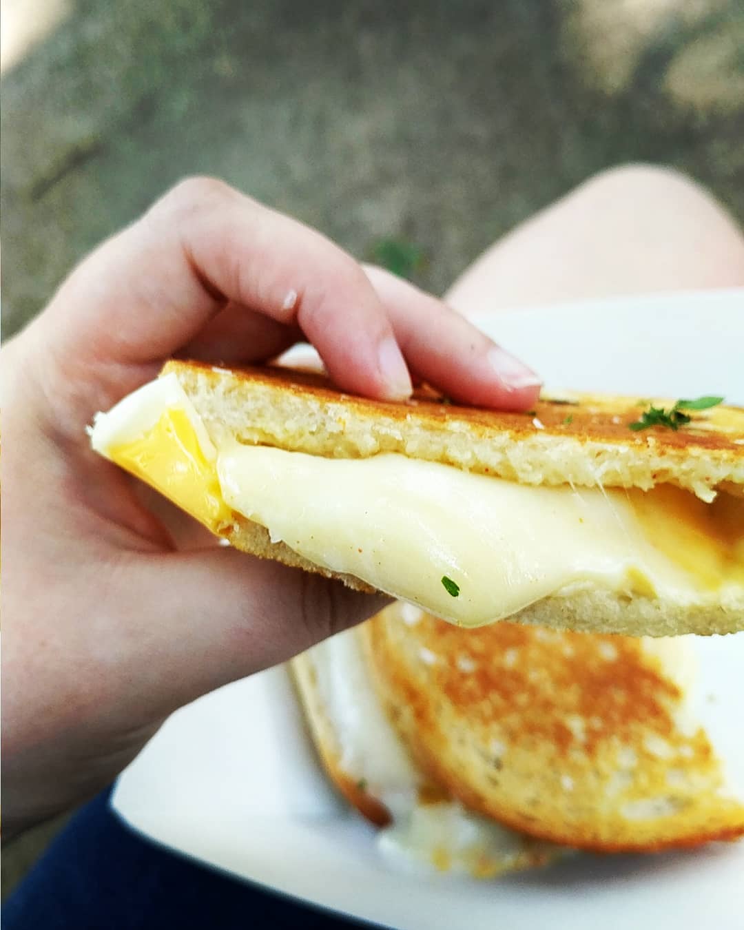 A food truck with specialty grilled cheese just opened in my town today