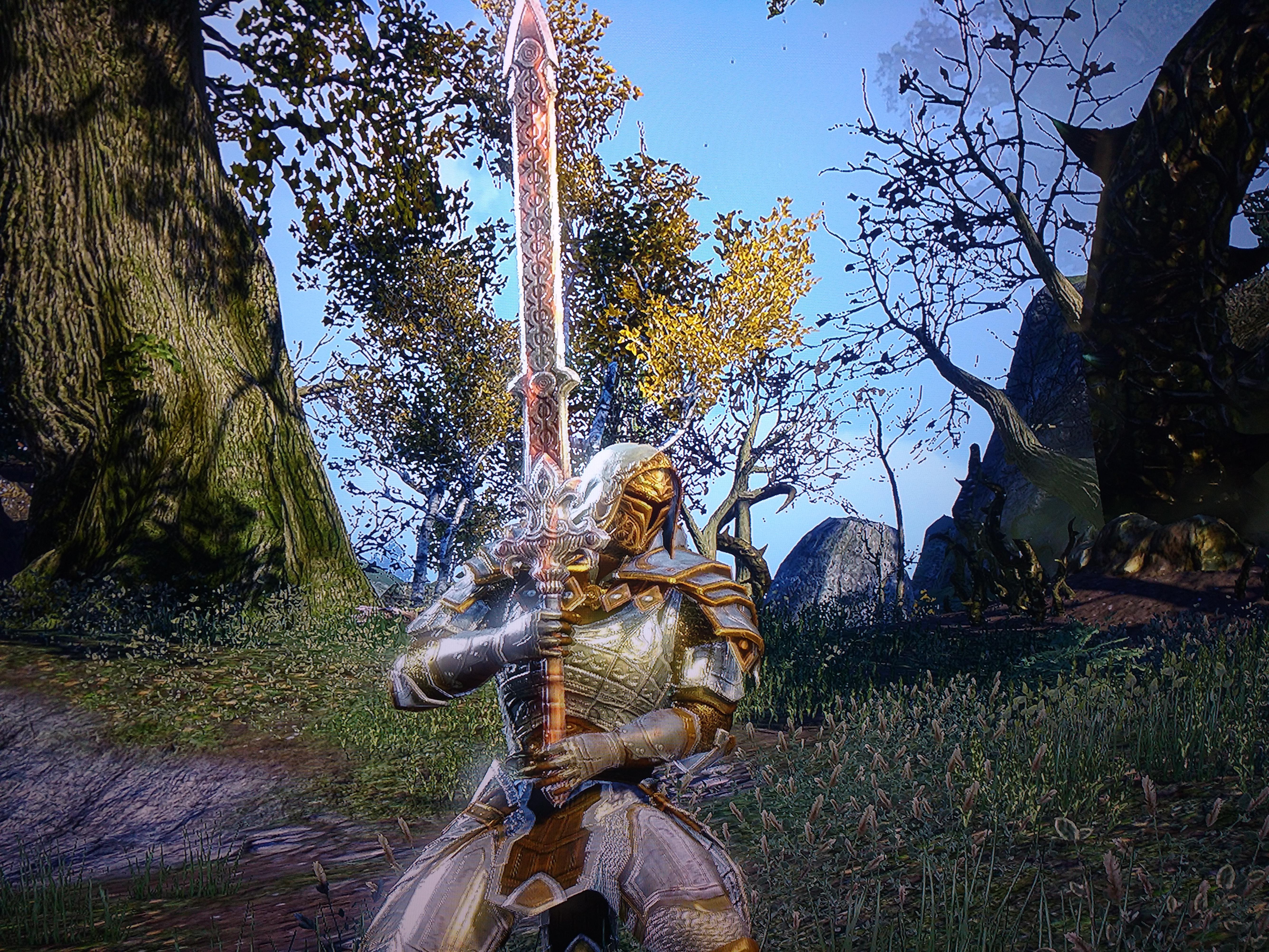 My new Paladin. Pretty proud of his look. Still looking