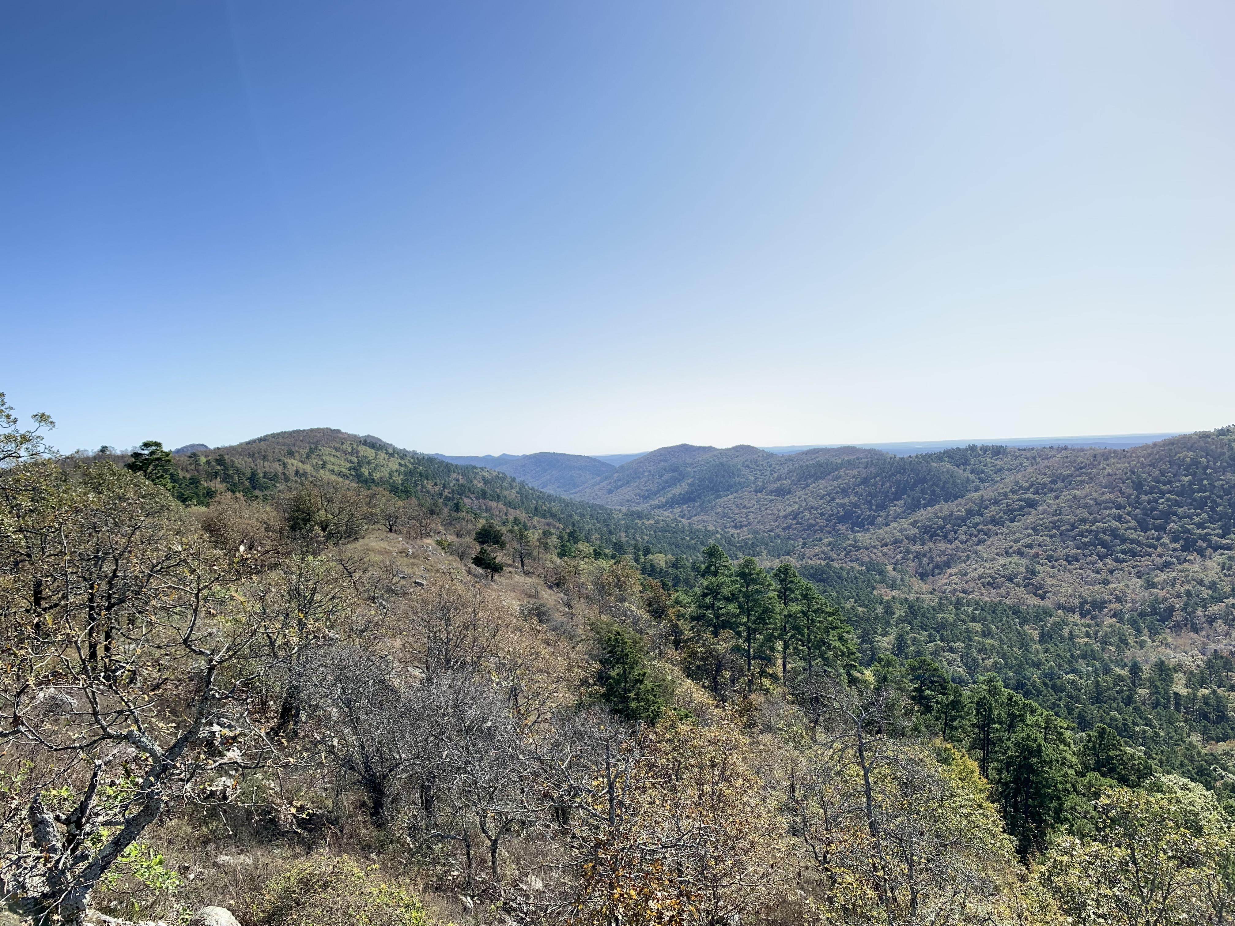 Ouachita Mountains, Arkansas. r/WildernessBackpacking