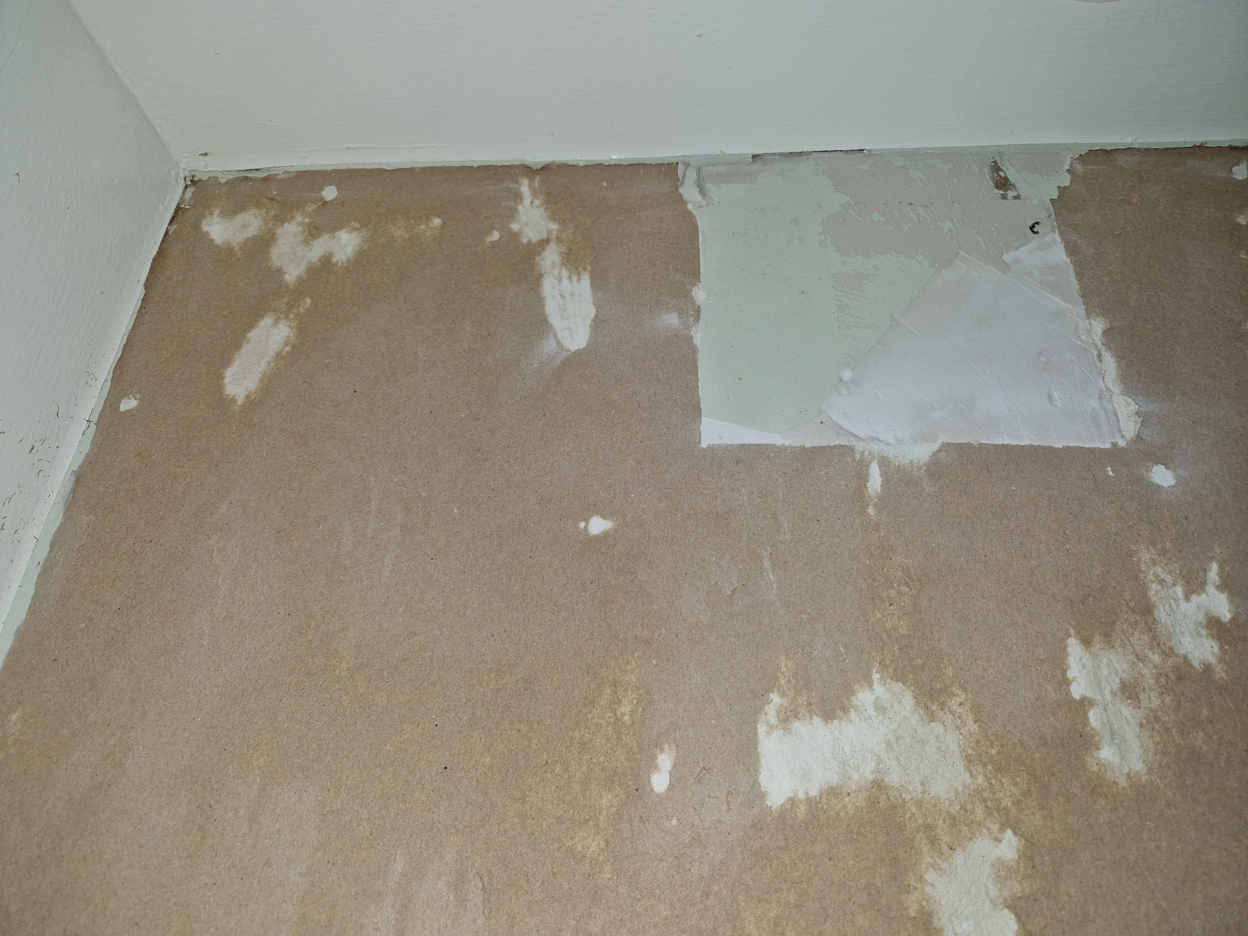 Best way to prepare this surface for painting? Seems to be plasterboard