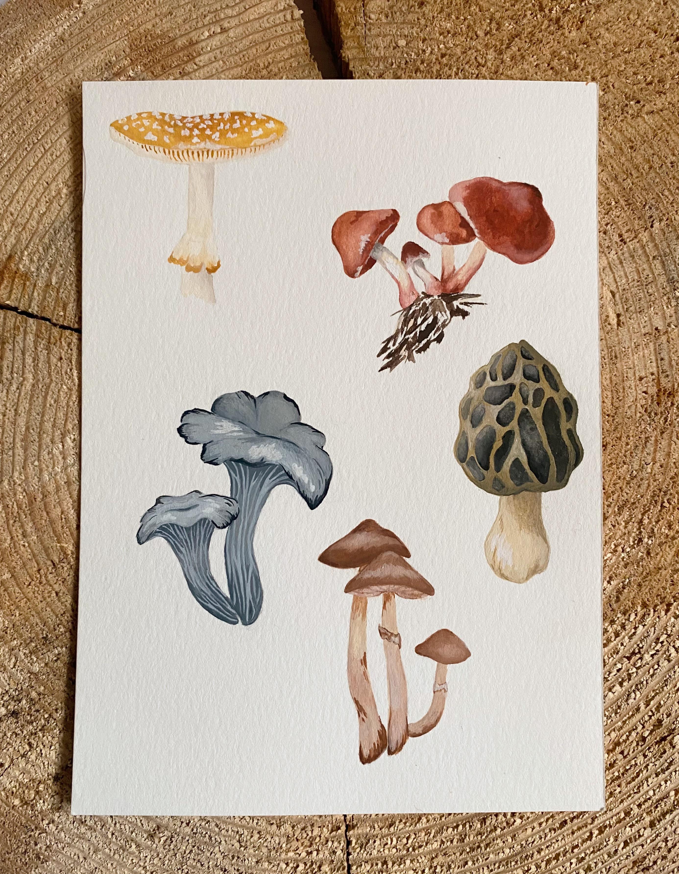 Just finished this mushroom painting!! So happy with how it turned out