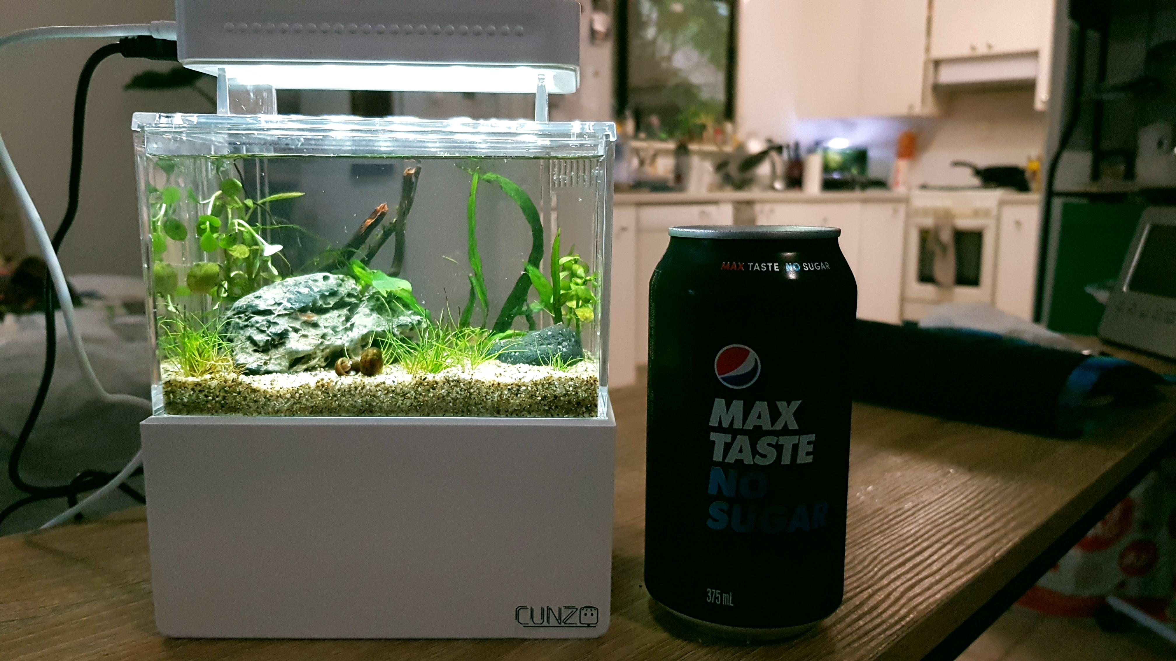 I had fun making my nano tank tonight, this includes a mini sump and