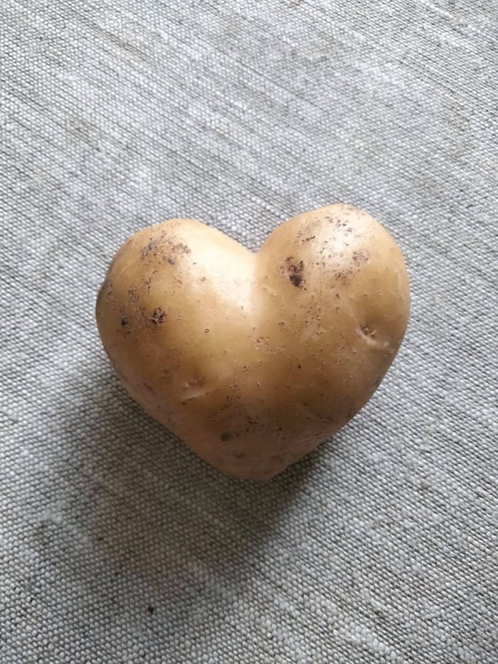 I've found this heart shaped potato in my garden. r/mildlyinteresting