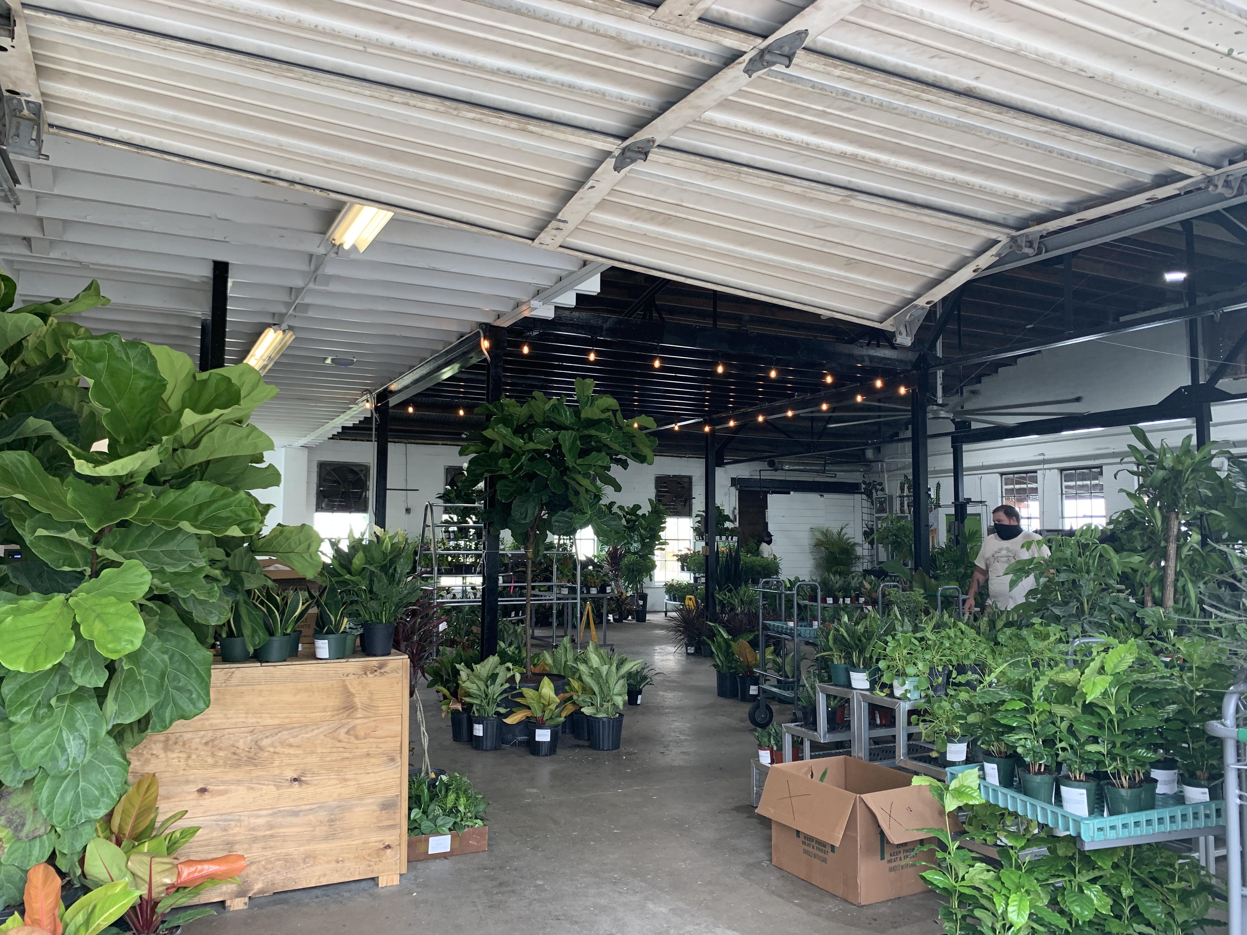 PSA new nursery just opened in Austin, Garden Seventeen😍 i bought 3 new