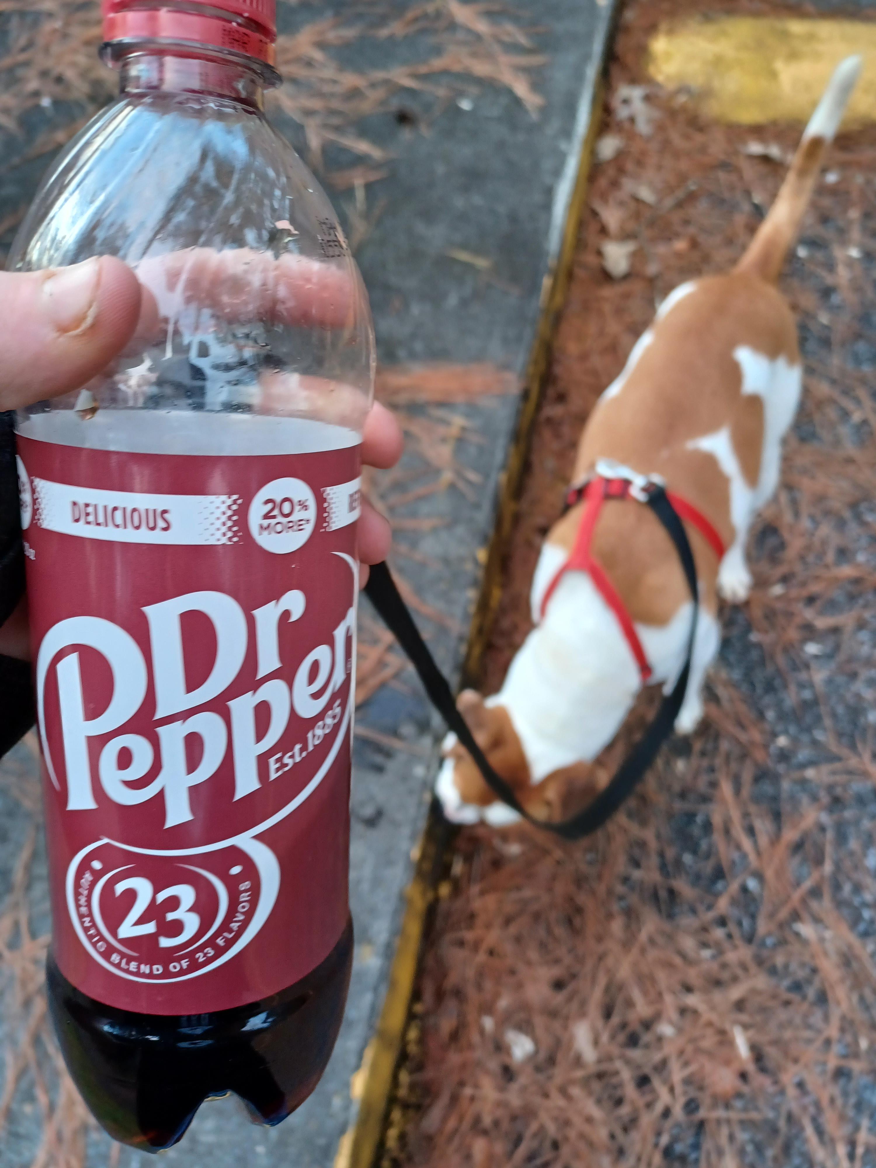 Out with my dog and drinking some delicious dr. Pepper r/DrPepper