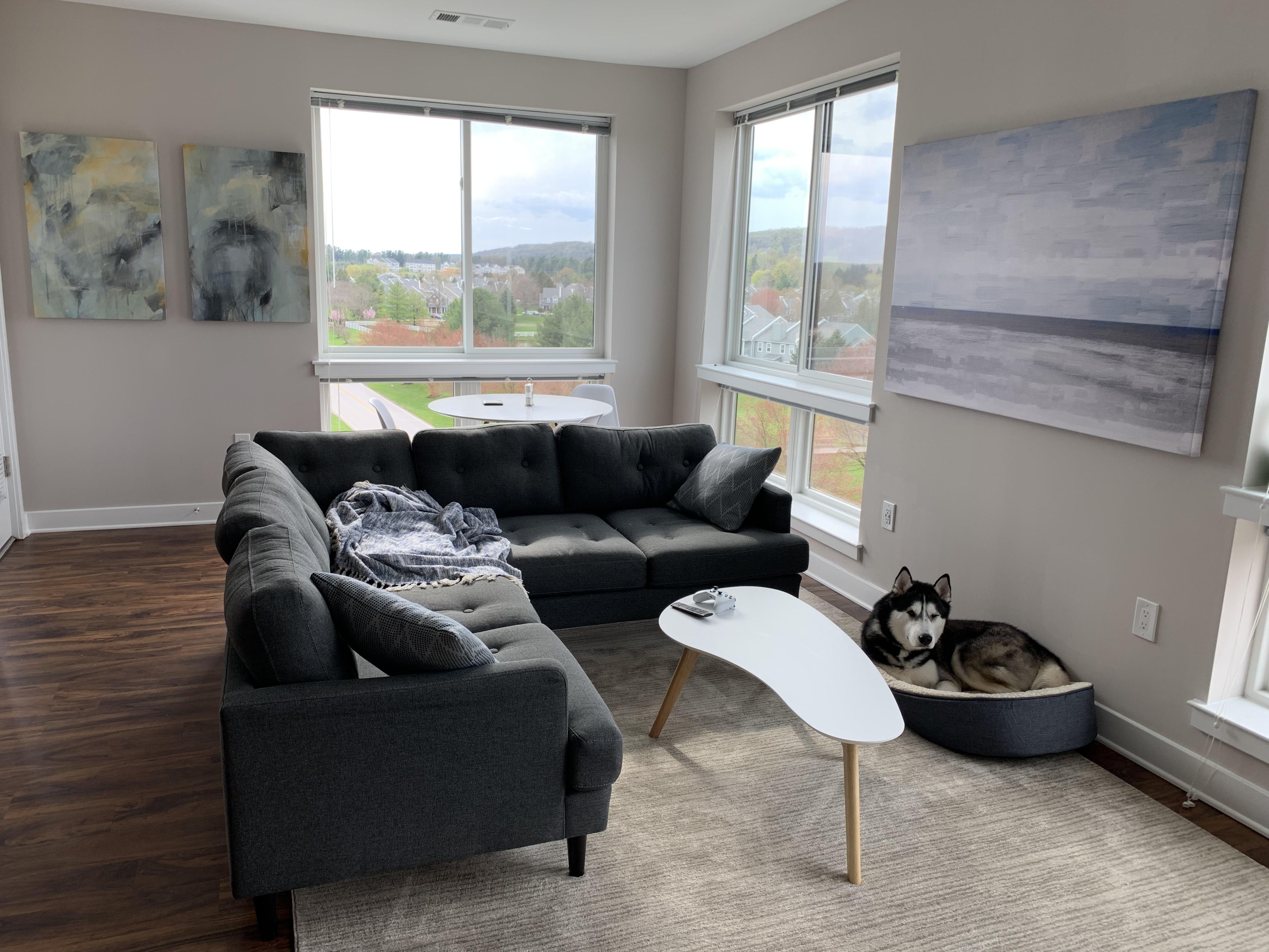 My new apartment outside Philadelphia! Link in comments! r