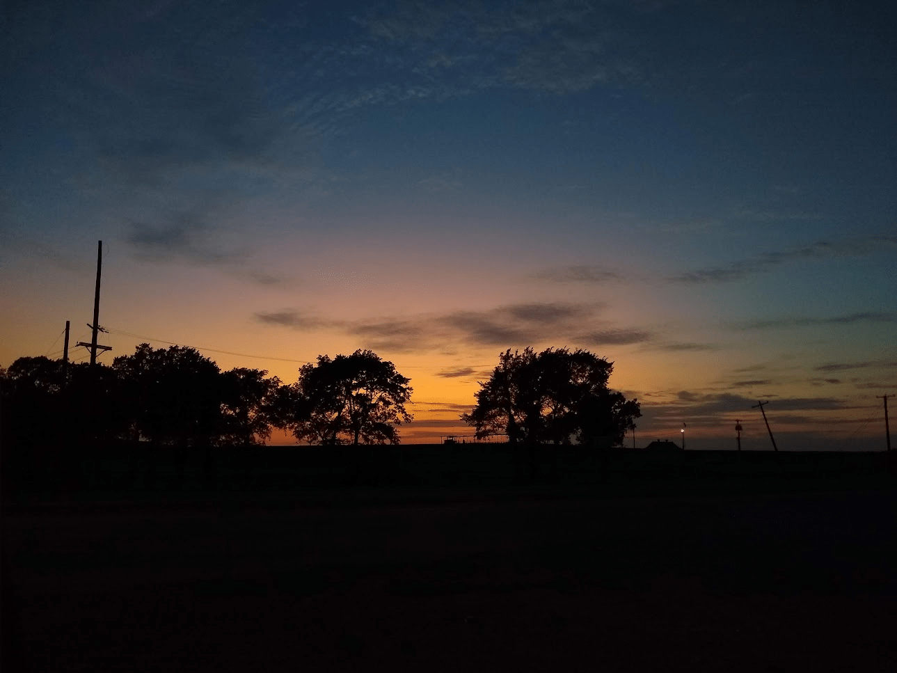 Trees Near Sibley Lake at Sunset r/natchitoches