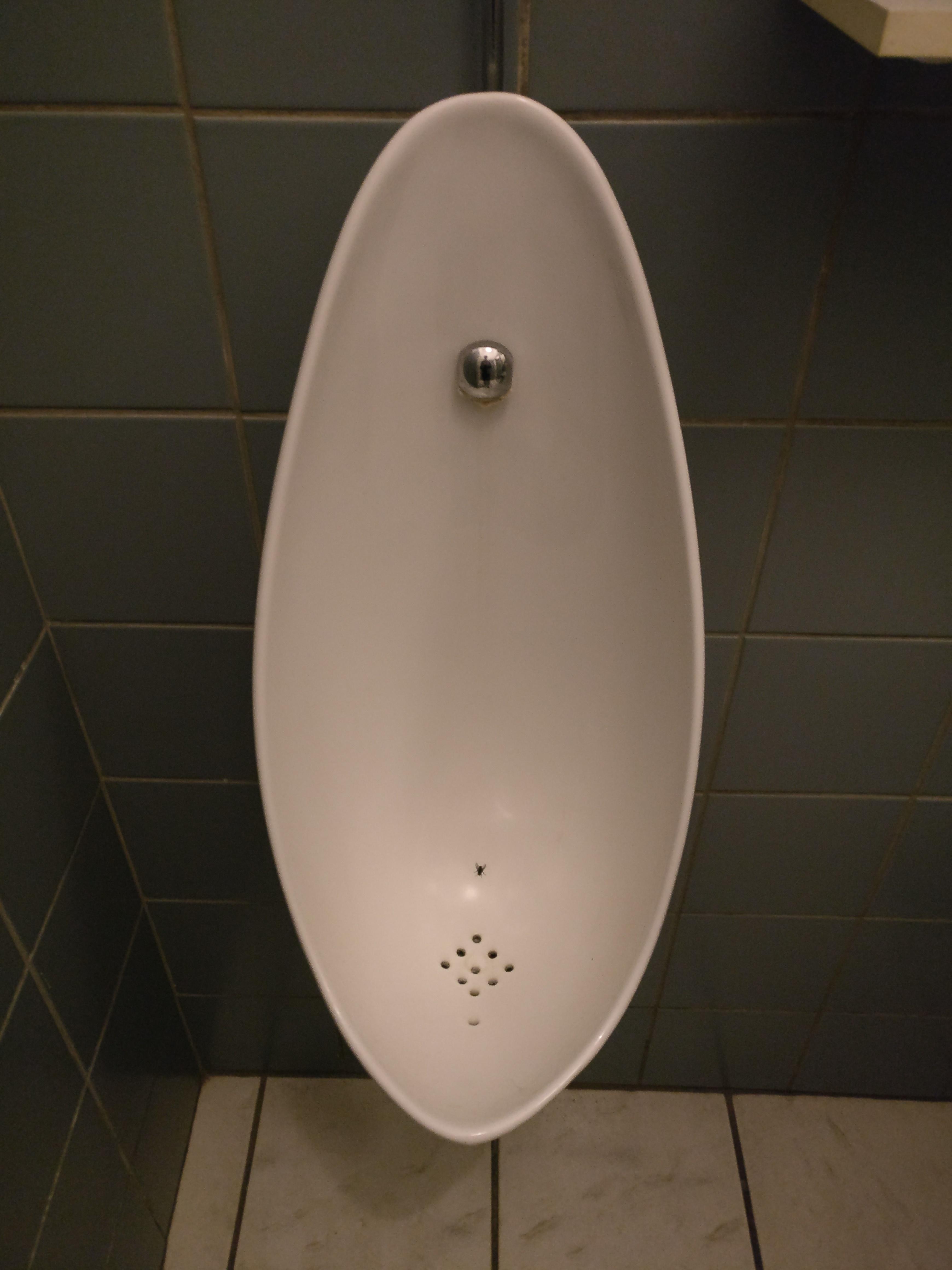 This urinal has the silhouette of a fly painted in it for you to aim at