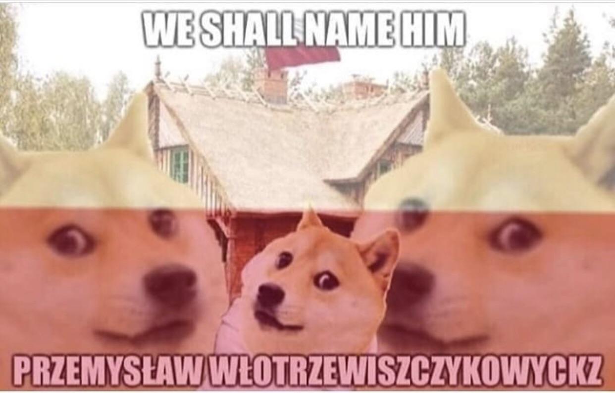 Le polish names have arrived r/dogelore