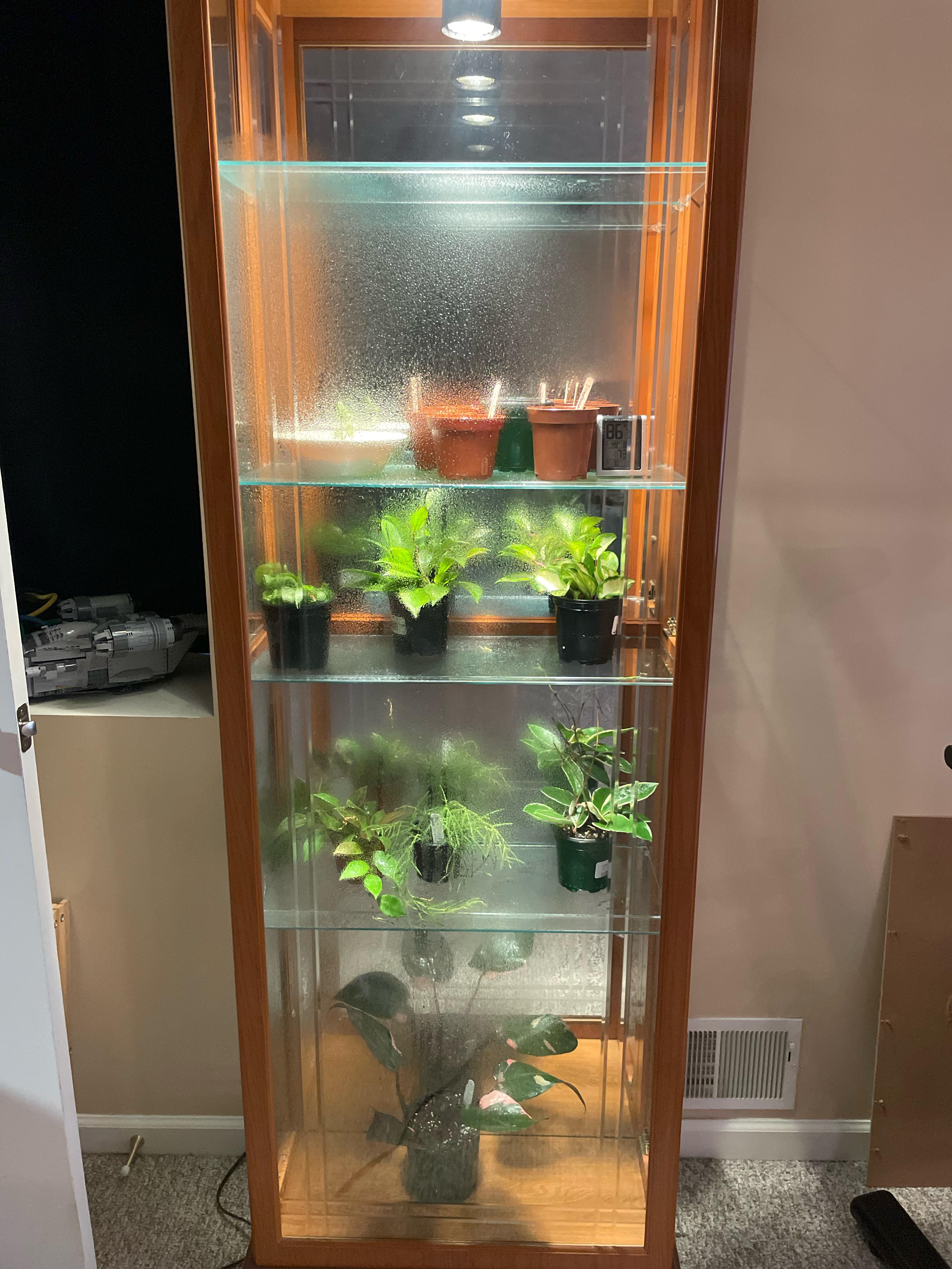 Repurposed curio for an indoor greenhouse. My first! r