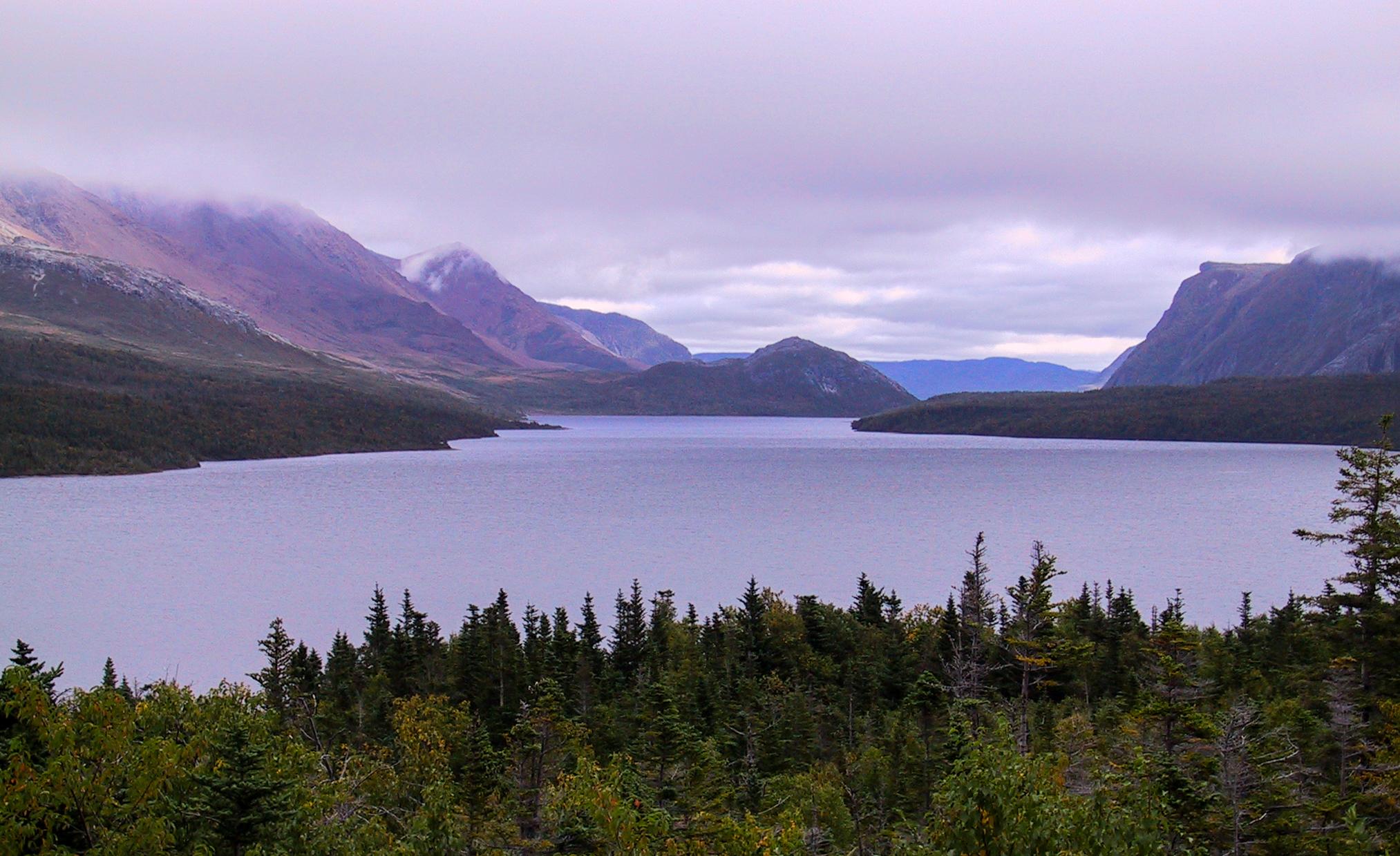 Trout River Pond, Newfoundland [OC] [2026x1239] r/EarthPorn