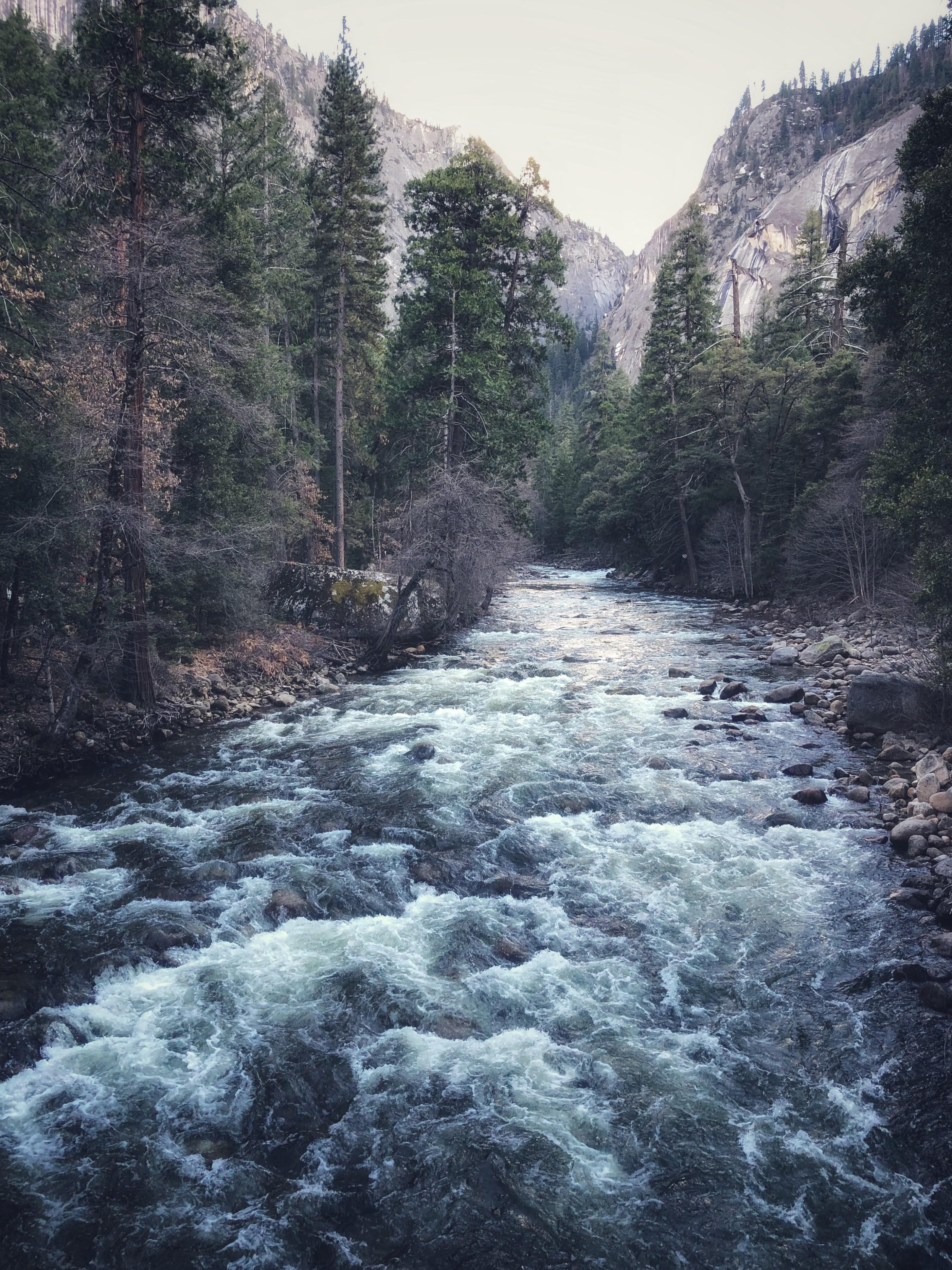 Merced River, Yosemite National Park, CA [OC] [2909 × 3879] r/EarthPorn