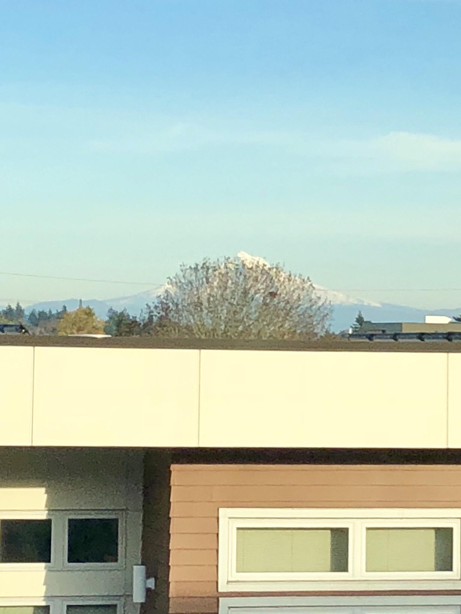 Mt. Hood from my apartment. r/Portland