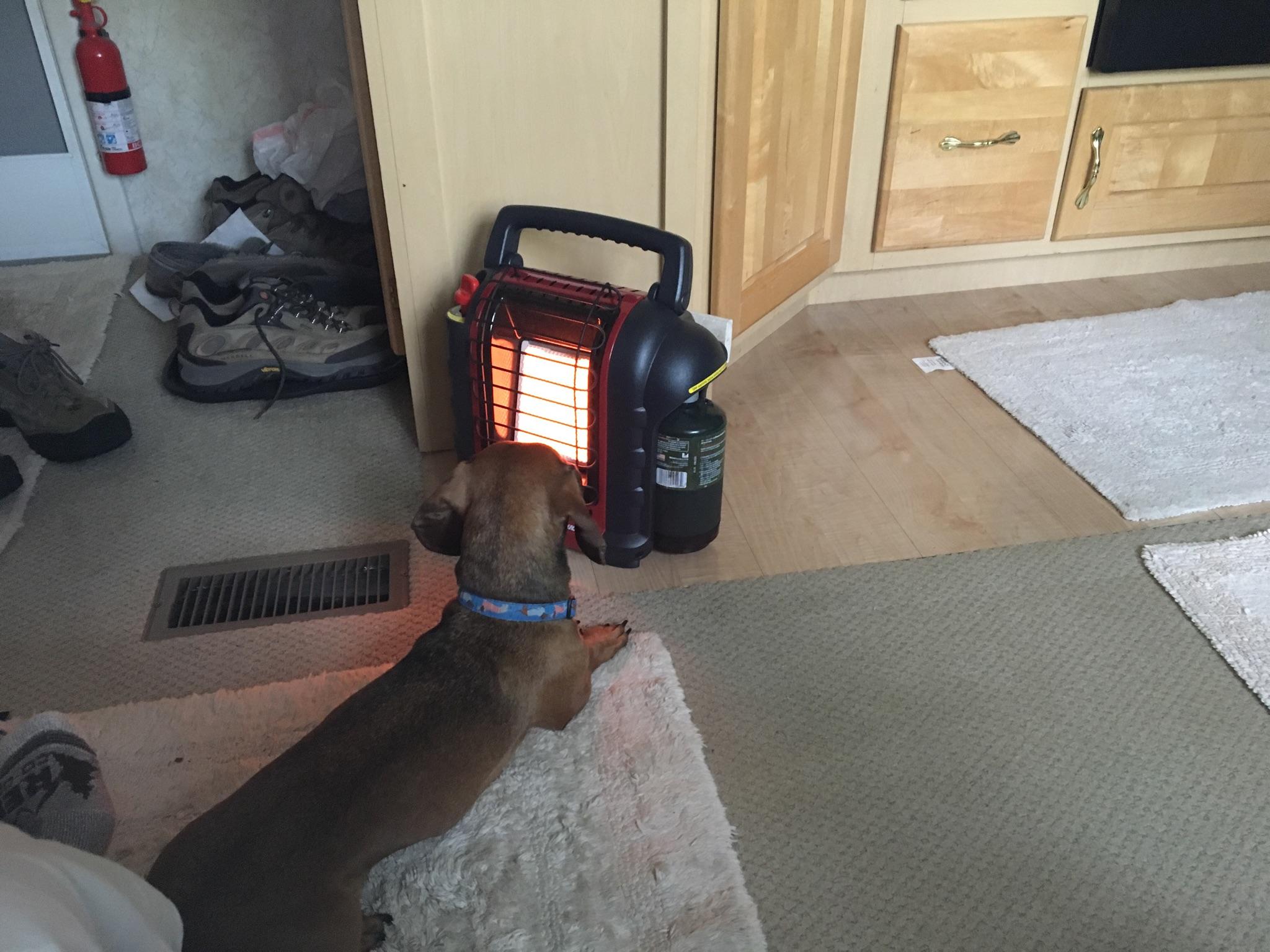 He loves heaters r/Dachshund