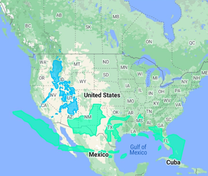 size of philippines and indonesia compared to usa r/MapPorn