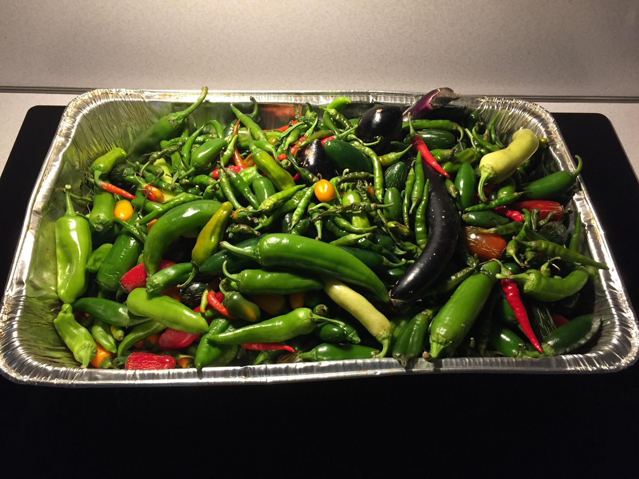 Last peppers and eggplant of the season. Zone 8b. r/gardening