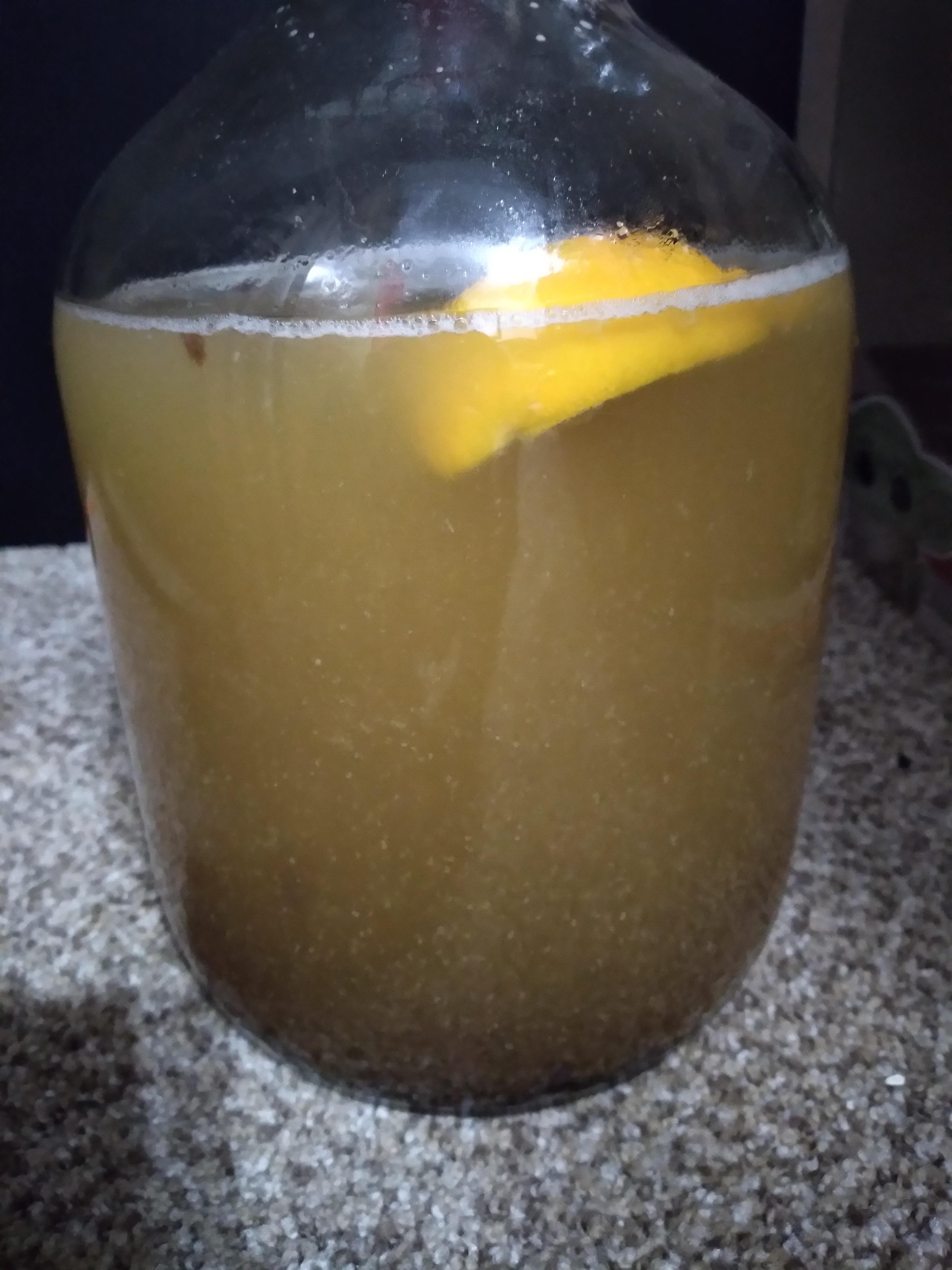 Helpppp!!! is my yeast dead? First day and no bubbles r/mead