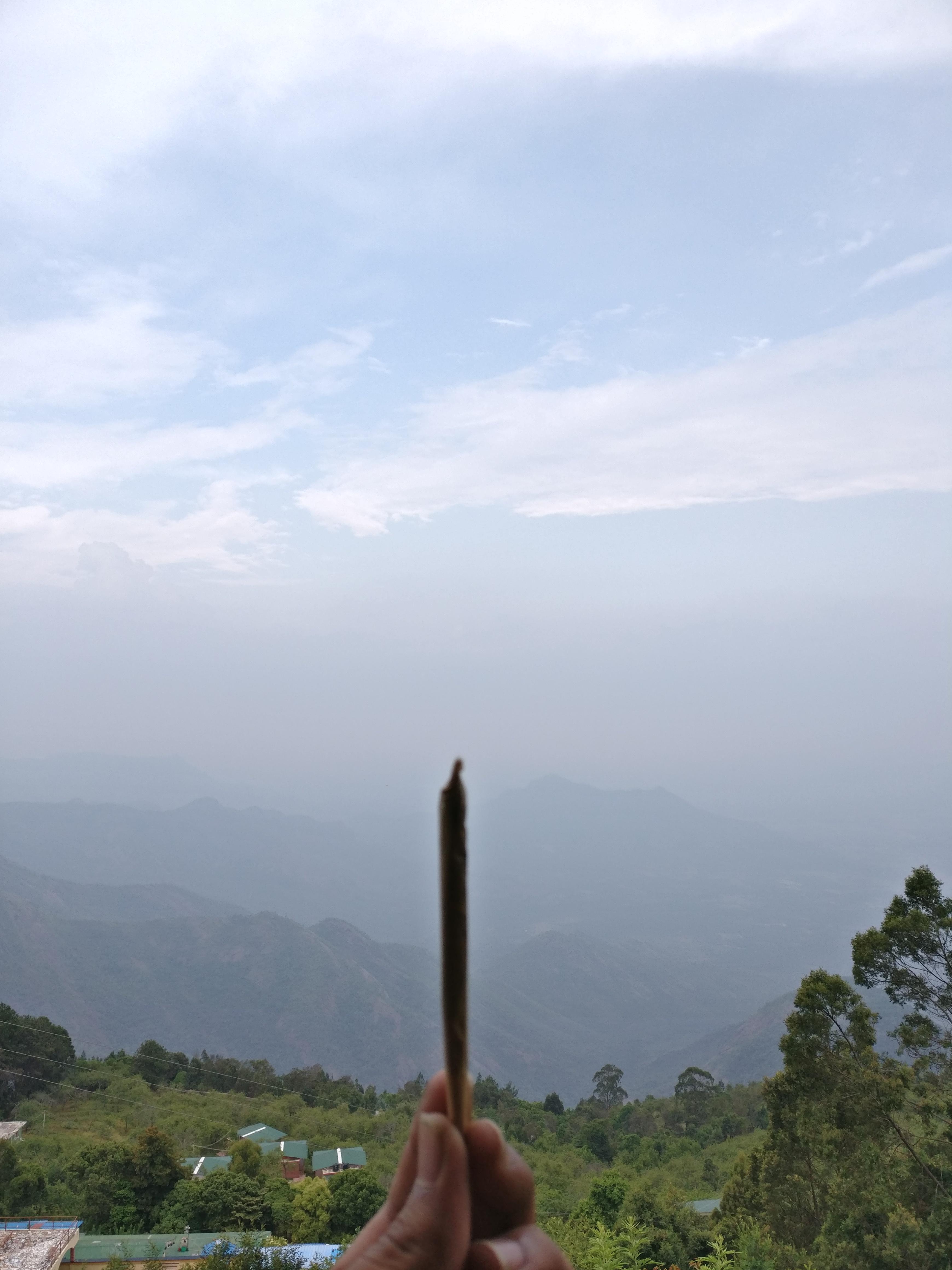 Smoke Spot in India r/trees