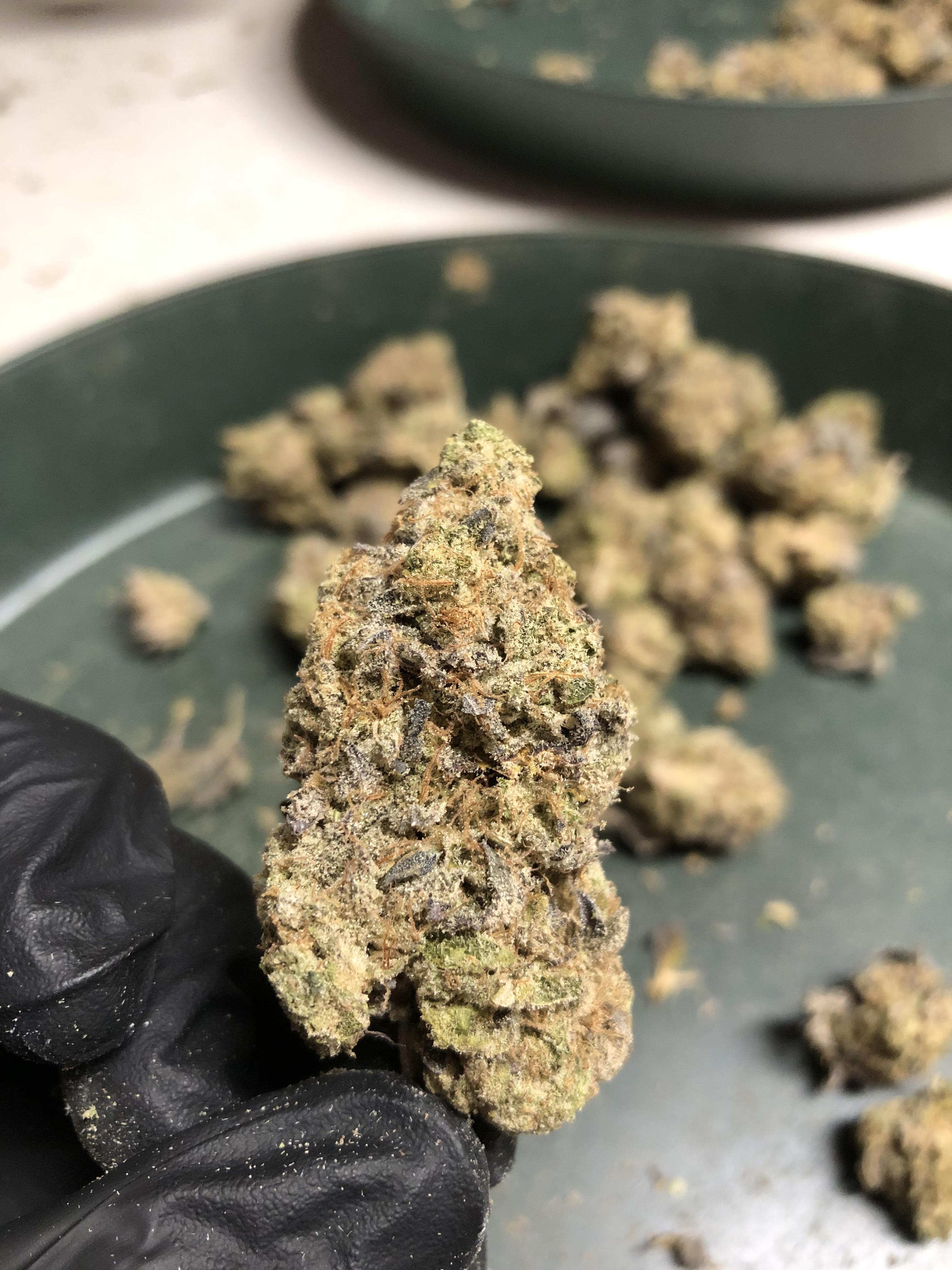 Wedding Cake for the Cake Day cannabiscultivation