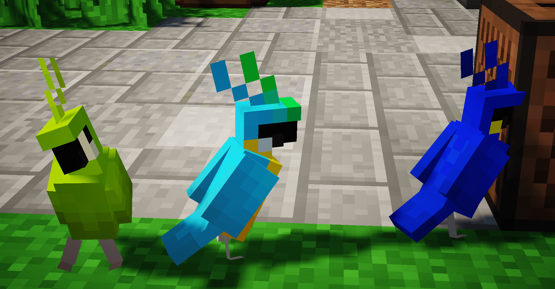 Took a neat screenshot of some parrots with Shaders on. Makes a good