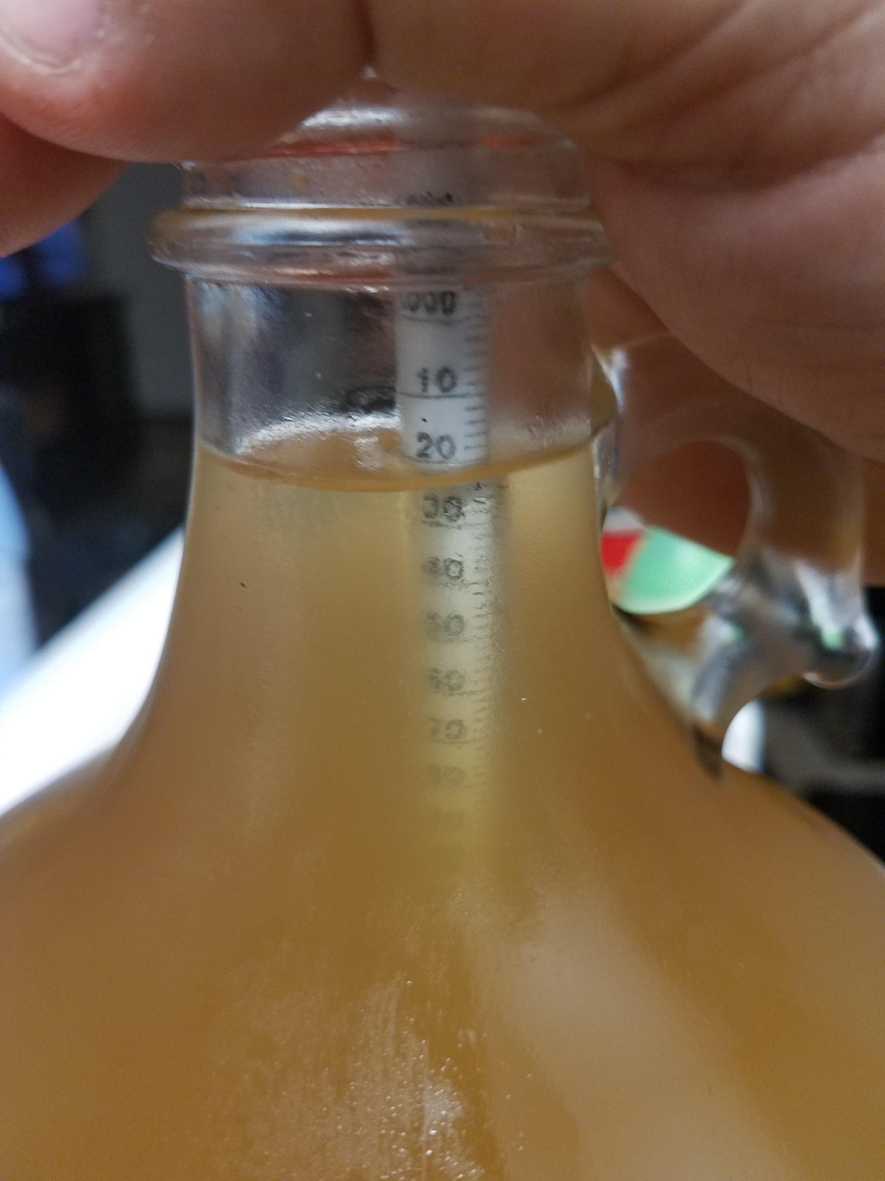 About 1 month in. Fermentation ended 2 days ago and i cold crashed to