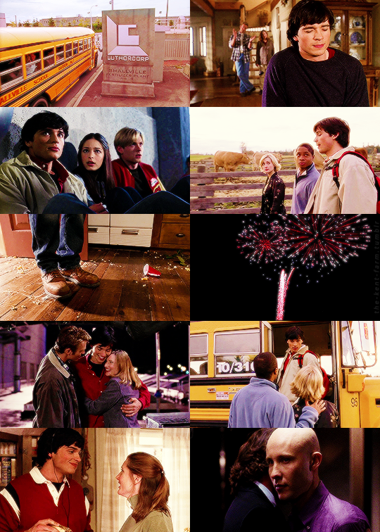 169 best Jitters images on Pholder AC Pocket Camp, Animal Crossing