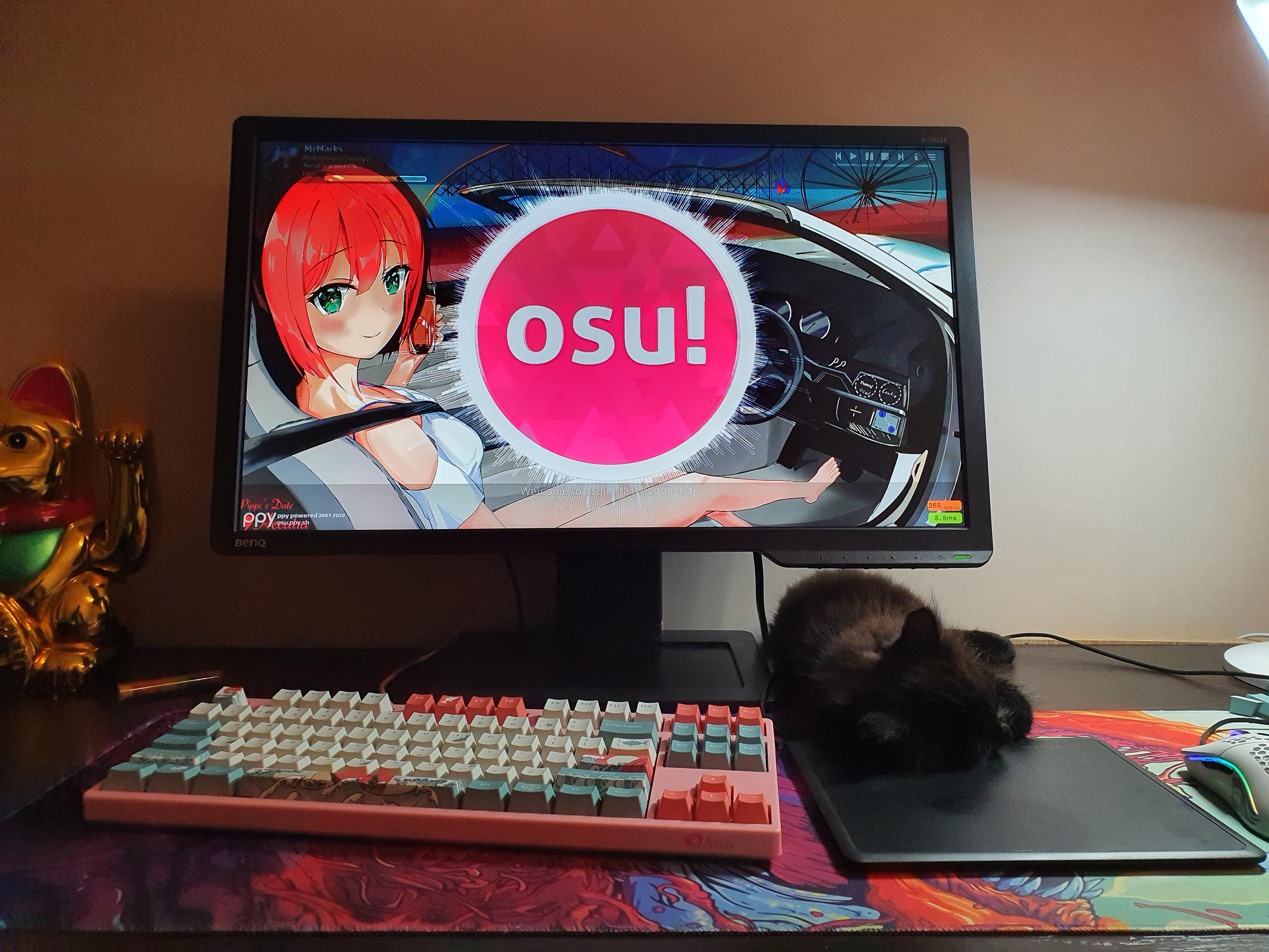 10000 best Osu Game images on Pholder Osugame, Osubuddyretard and OSU