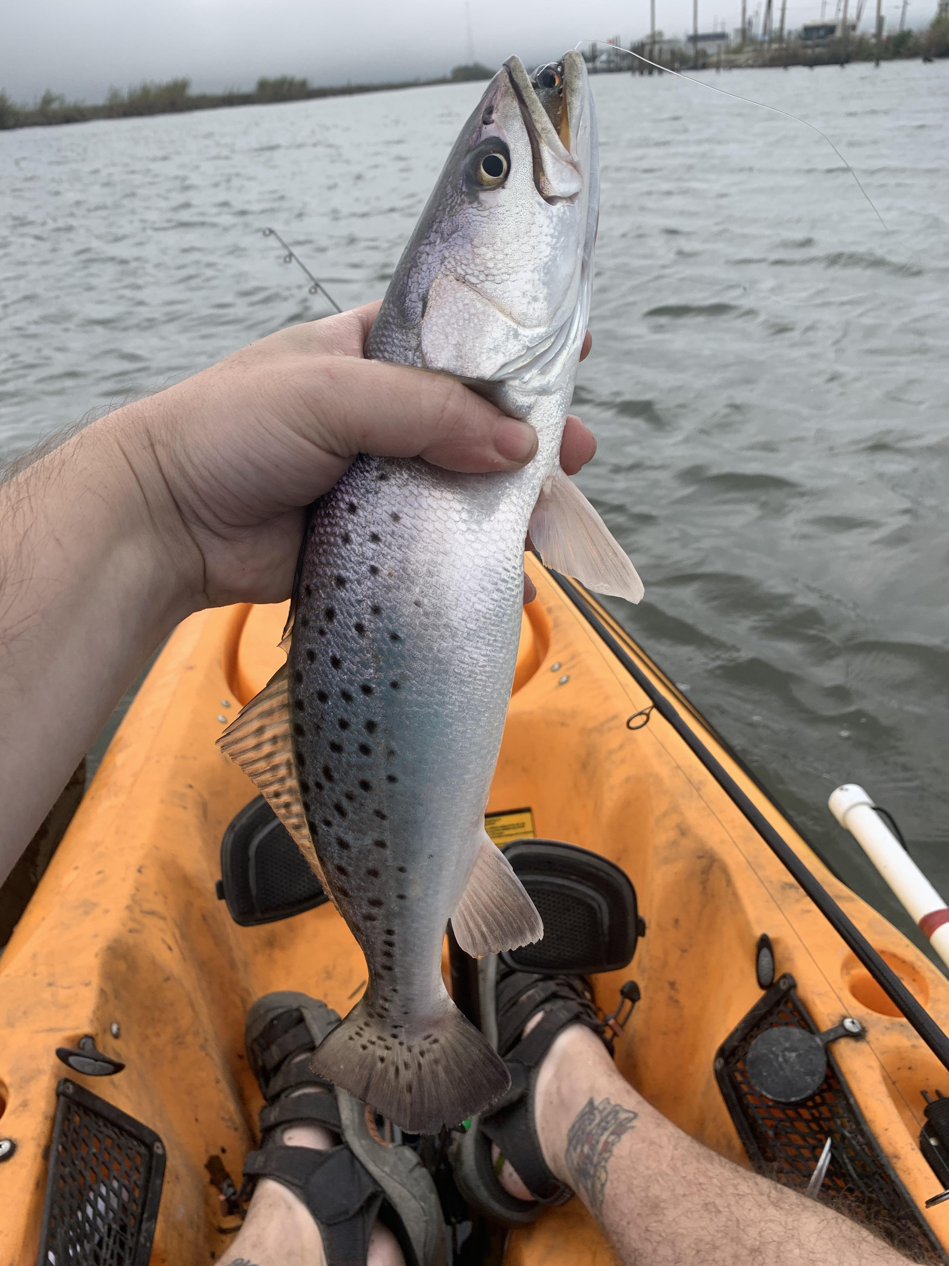 Just started kayak fishing using friends extra yaks. Got my PB speckled