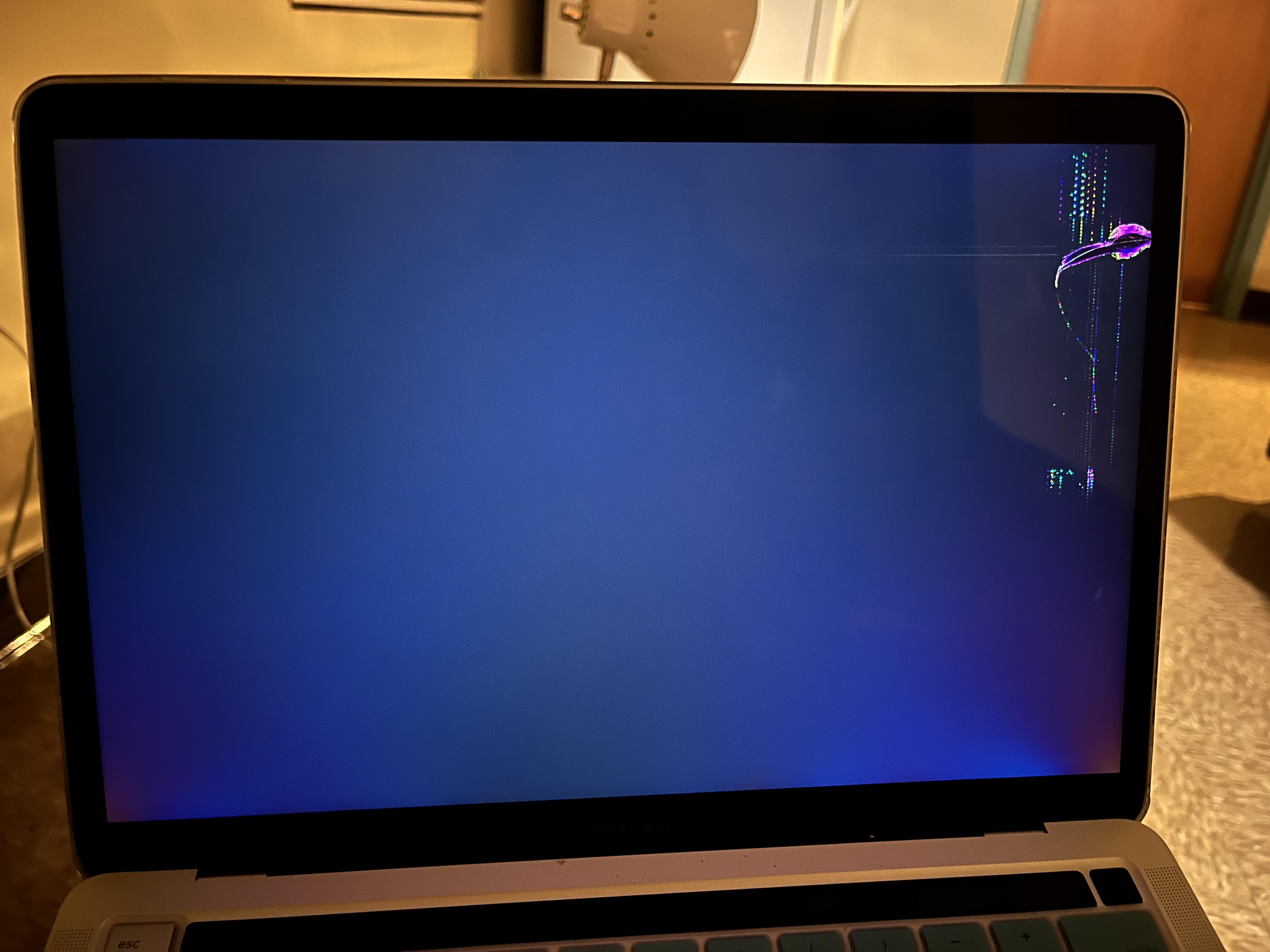 This blotch appeared on my screen, then the rest of the screen went