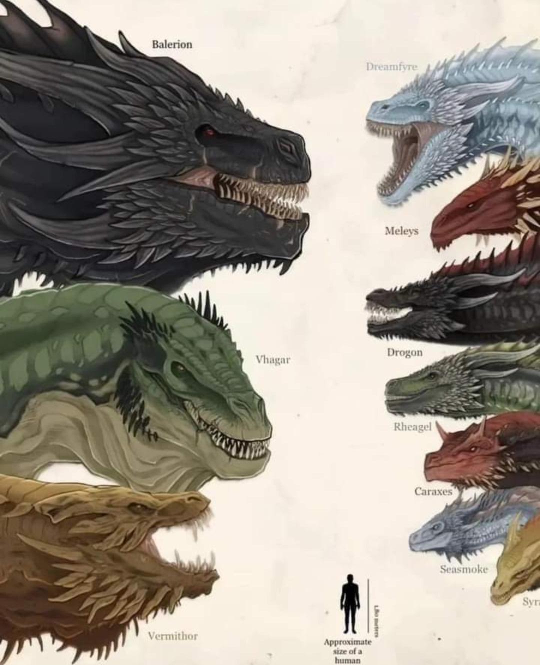 Size of dragons from the house of the dragon and game of thrones r