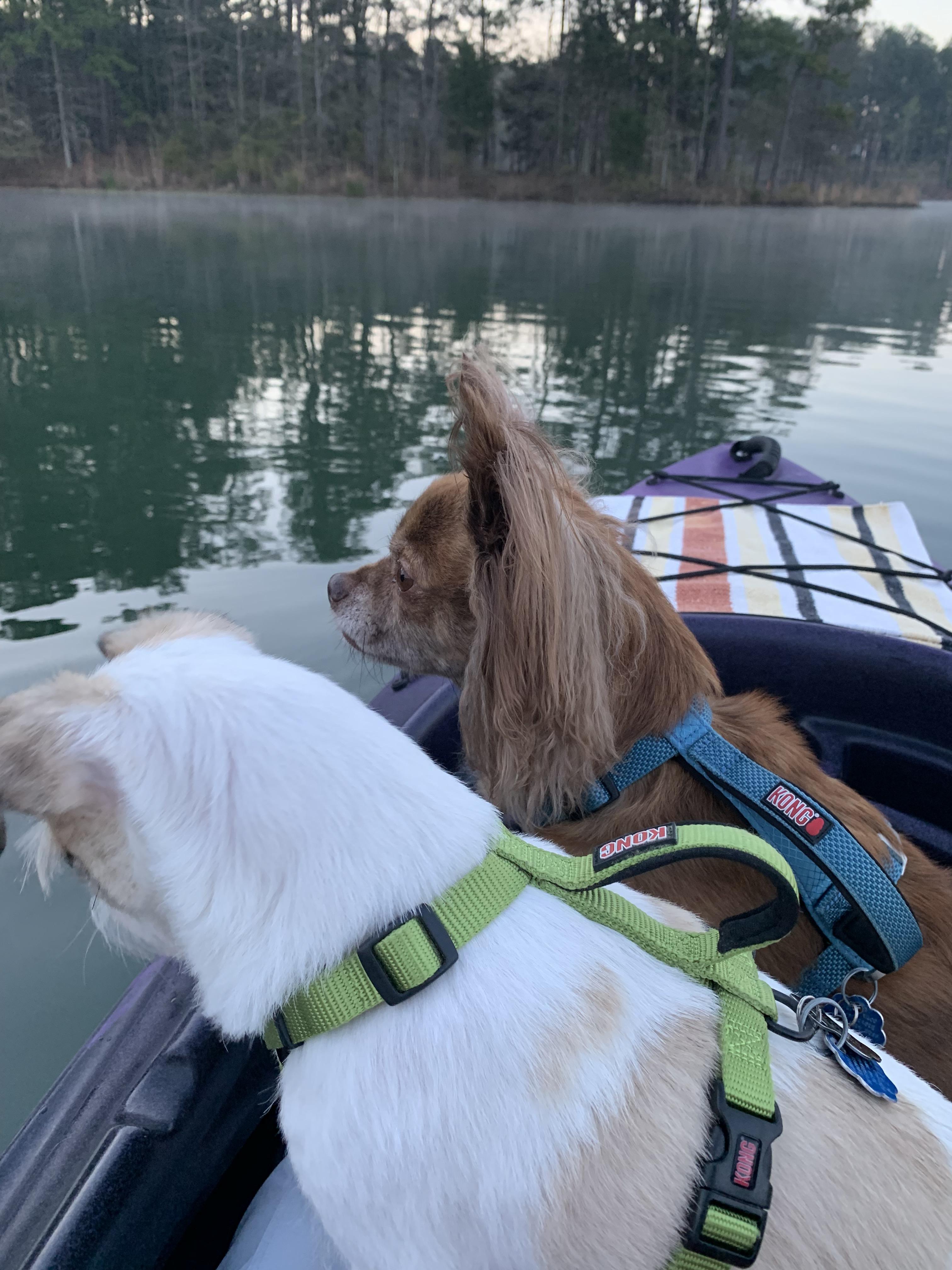 It’s cold but beautiful this morning on the water at Lake Juliette in