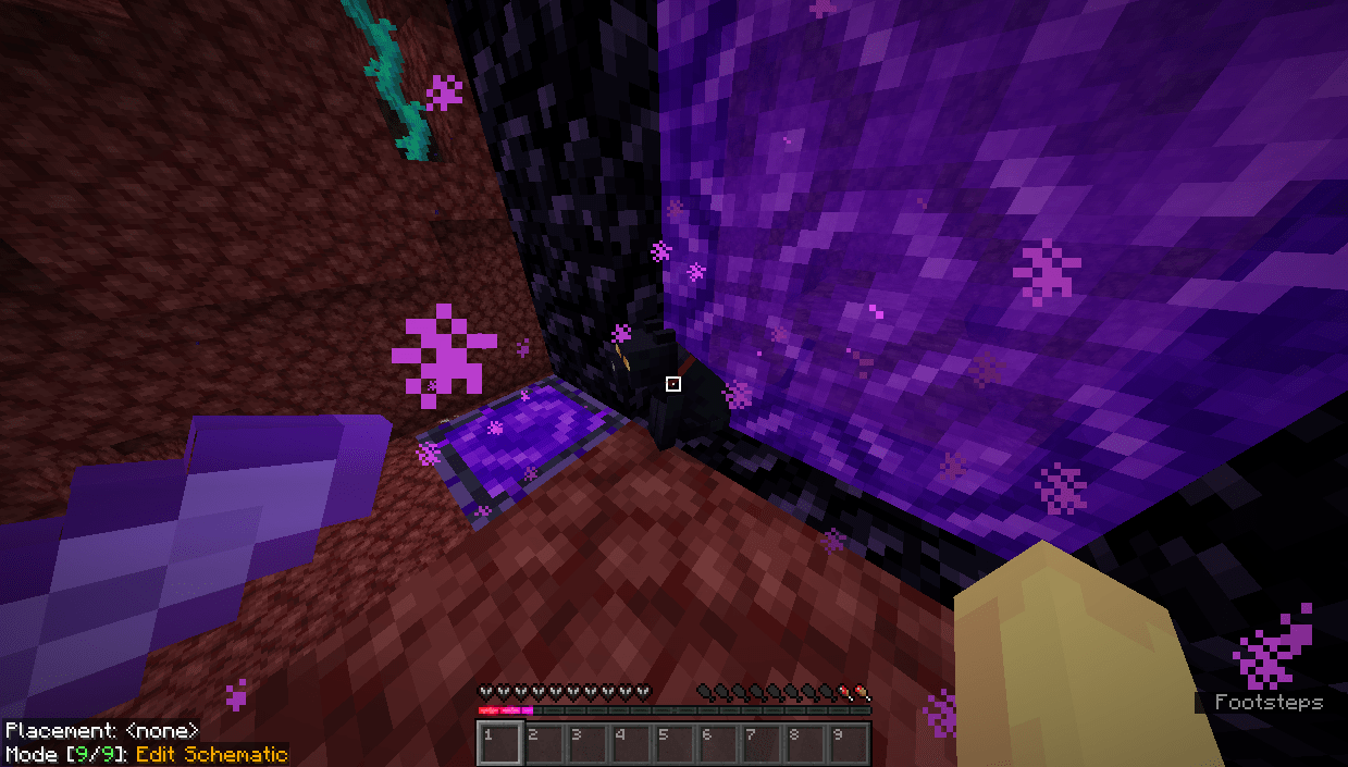 Why won't this cat go through the nether? r/Minecraft