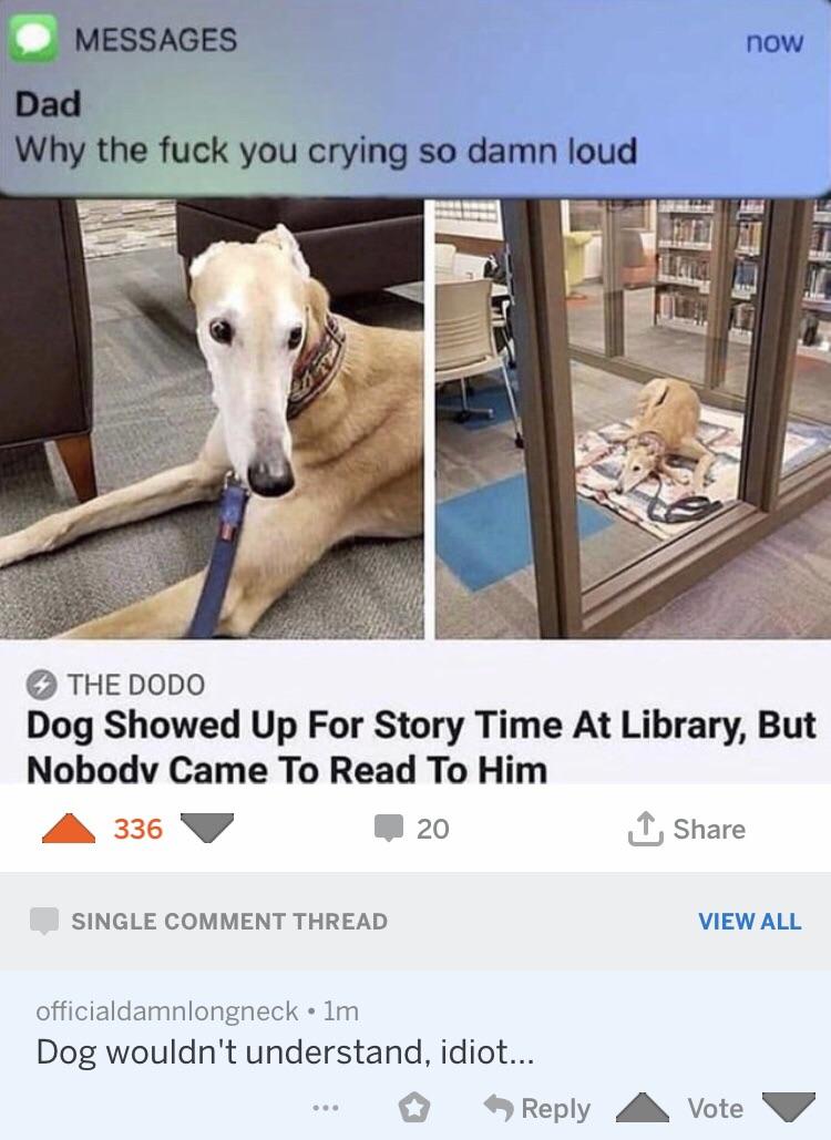 is this some sort of dumb joke that im too smart to understand? r/woooosh