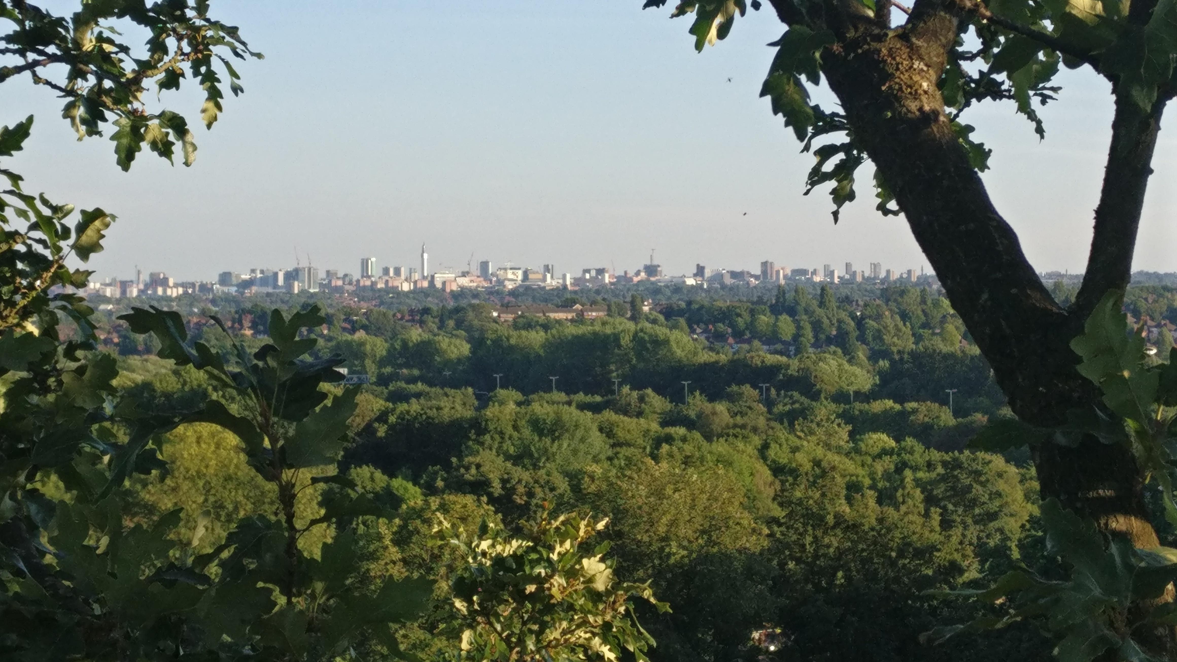 Climbed an old 70ft oak tree in Birmingham, got an amazing picture of