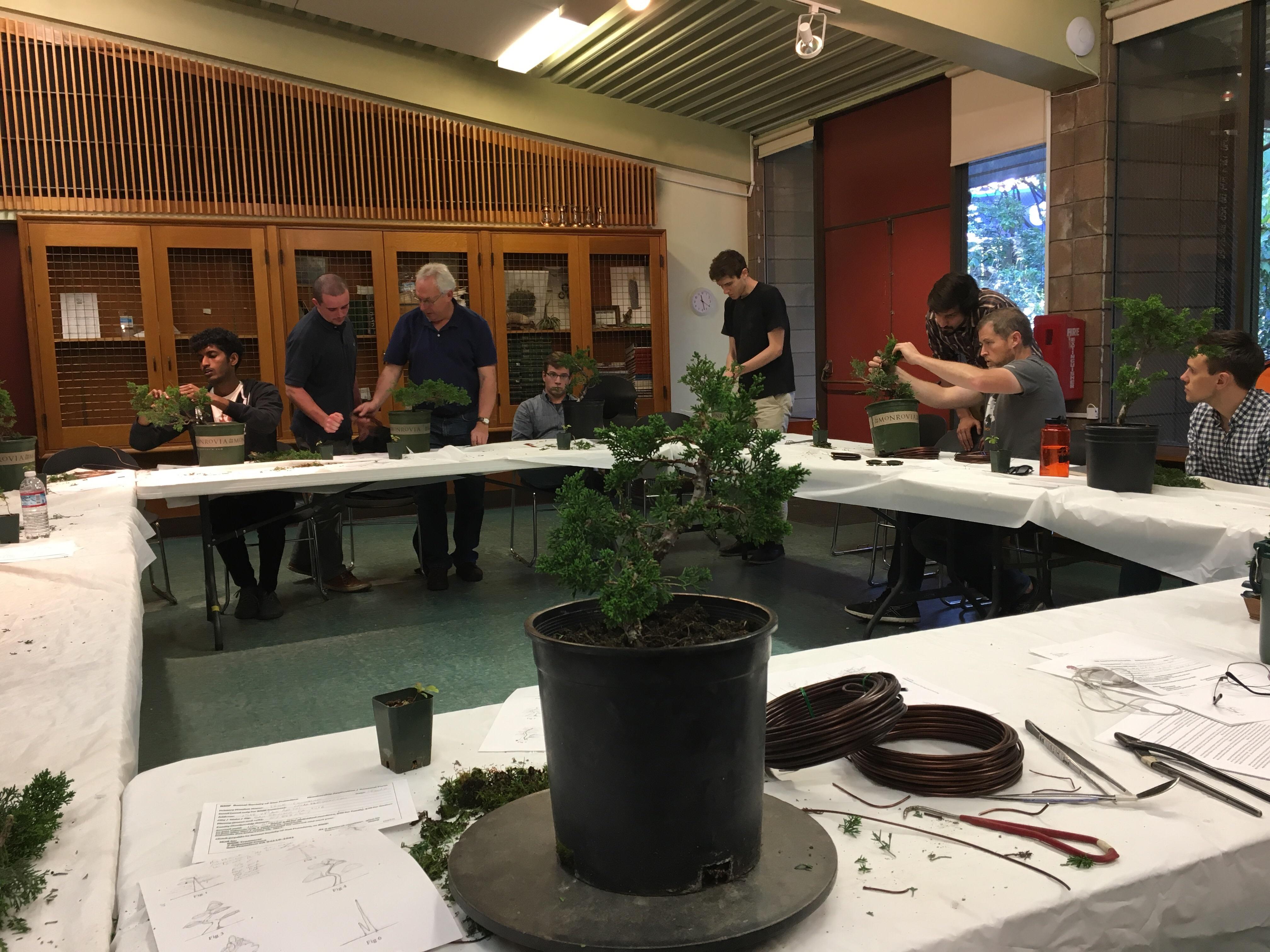 Intro to bonsai class (Bonsai Society of San Francisco). r/Bonsai