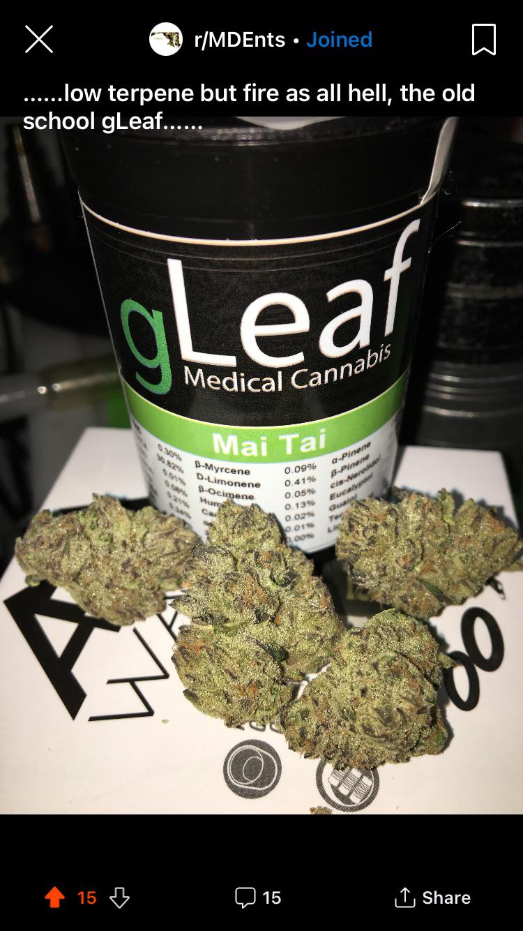 remember when gLeaf looked like this…. r/MDEnts