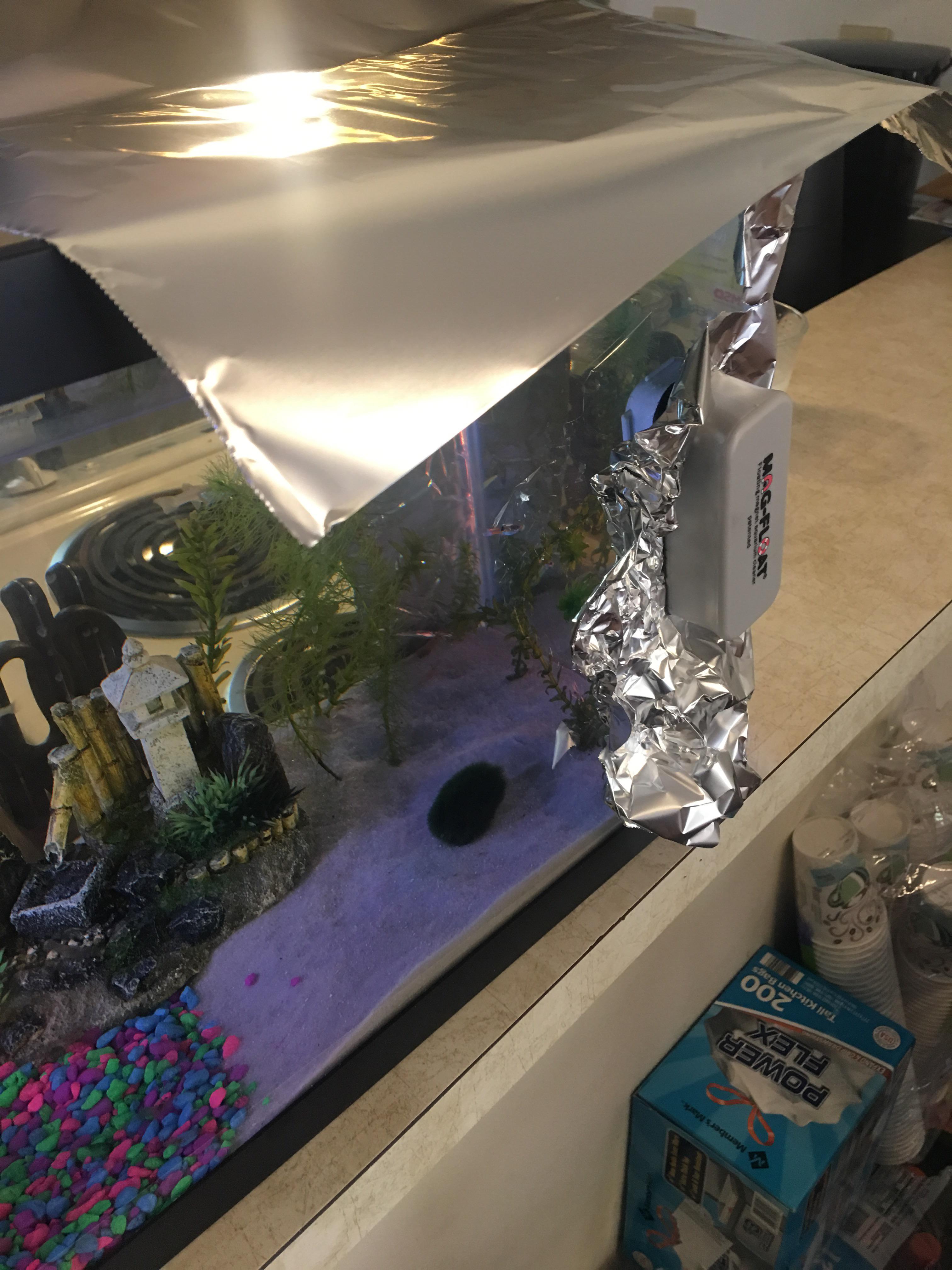 Heater died so I set a candle up next to the tank and used aluminum