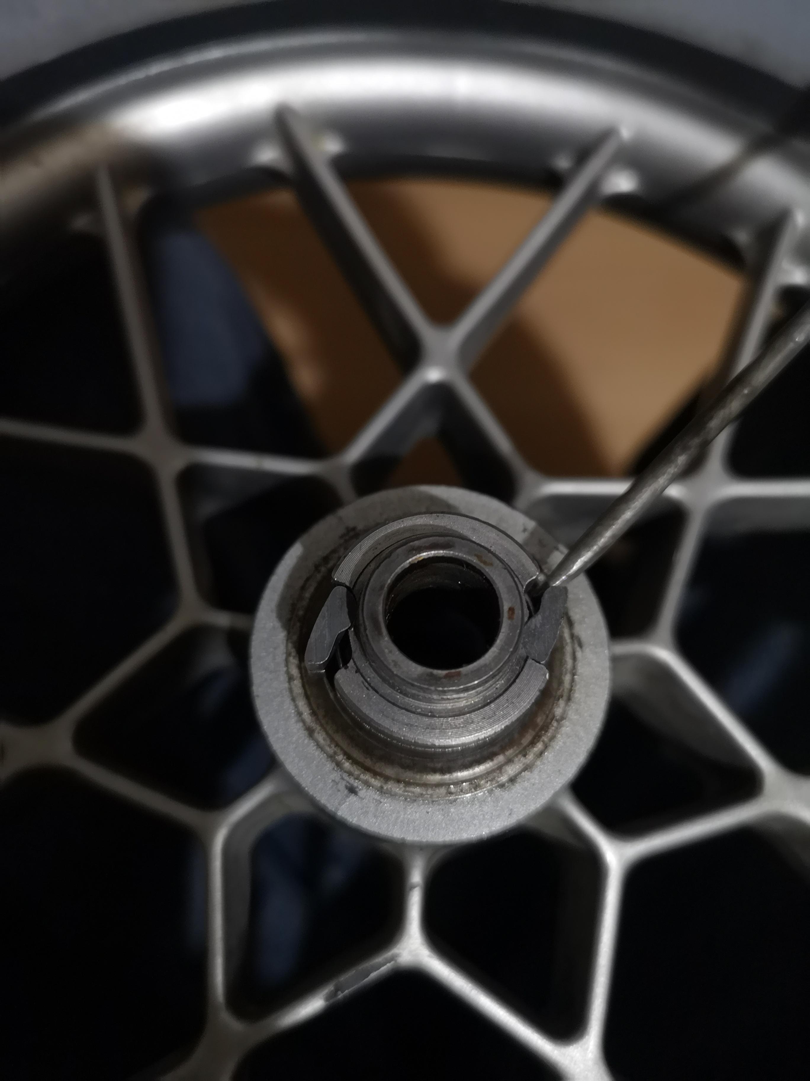 Oil or grease on this freewheel pulley thingy? I plan to put grease on the bearings but what