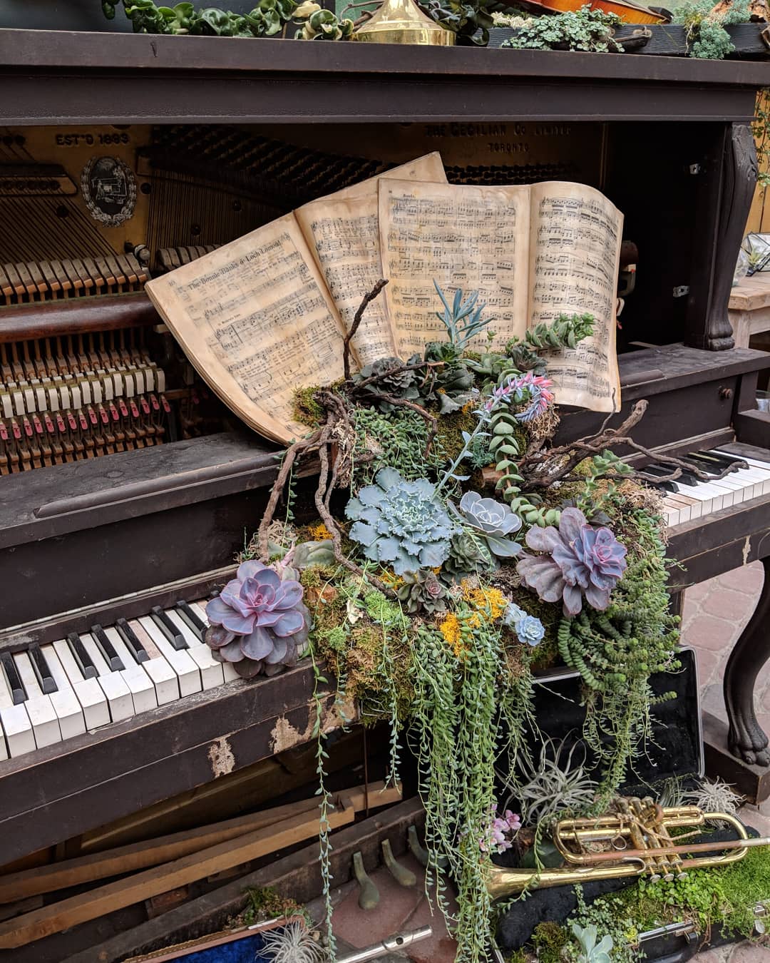 The Watering Can, Vineland ON. The most beautiful garden centre I've