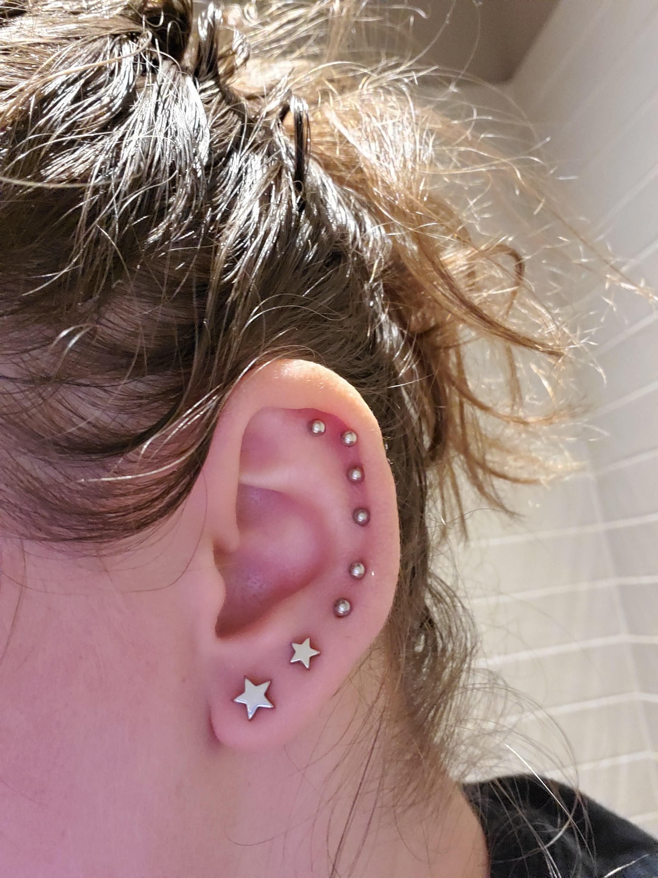 Current Setup Each pair of holes is a horseshoe ring. r/piercing