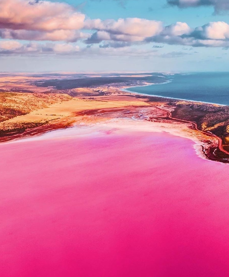 🔥 Pink Lake , Australia 🔥 r/NatureIsFuckingLit