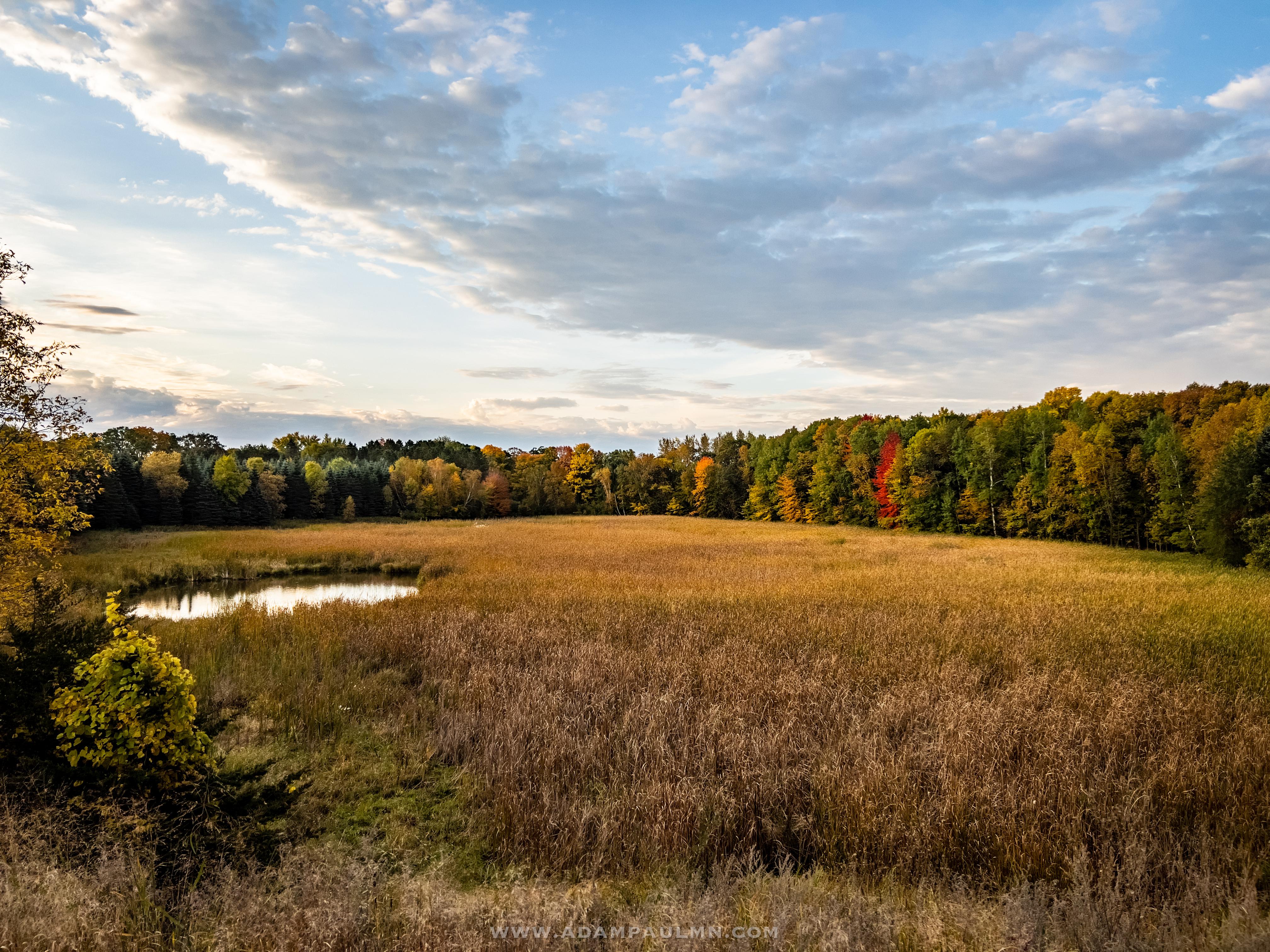 The colors this year are absolutely incredible. (Avon, Minnesota) r